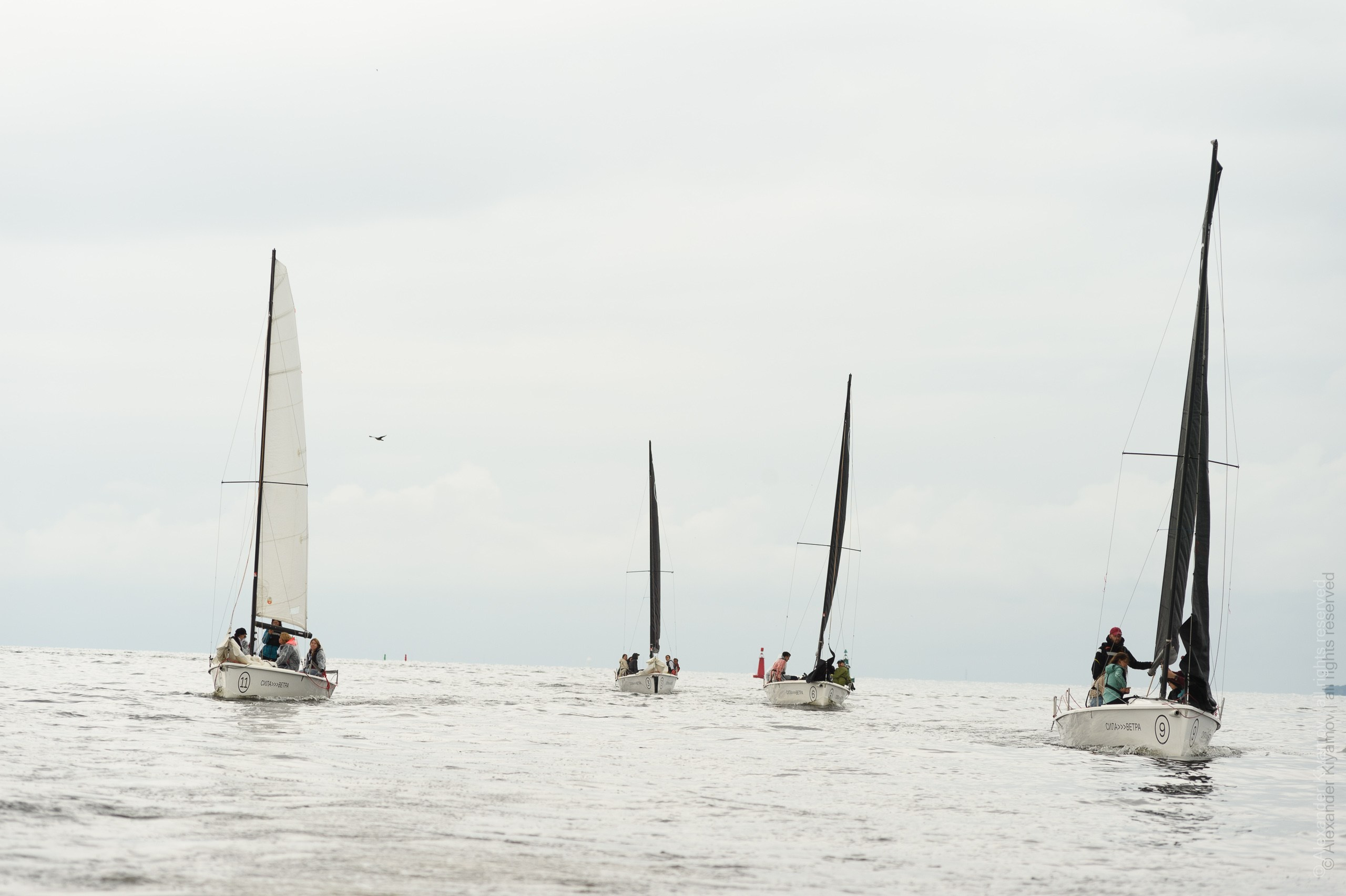 Фотограф на корпоратив