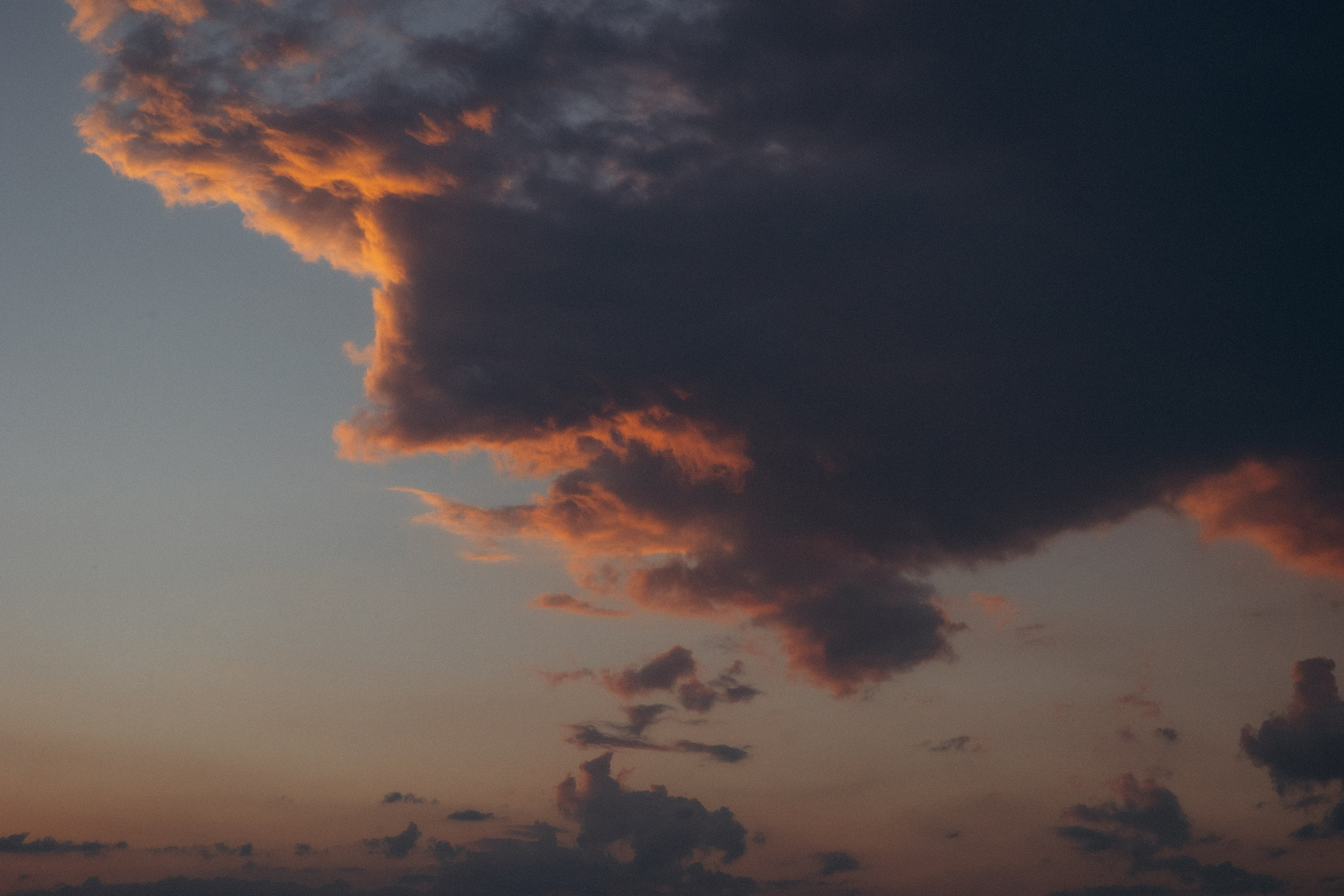 Анастасия и Алексей. Алена Бадамшина — свадебный фотограф Воронеж / Москва