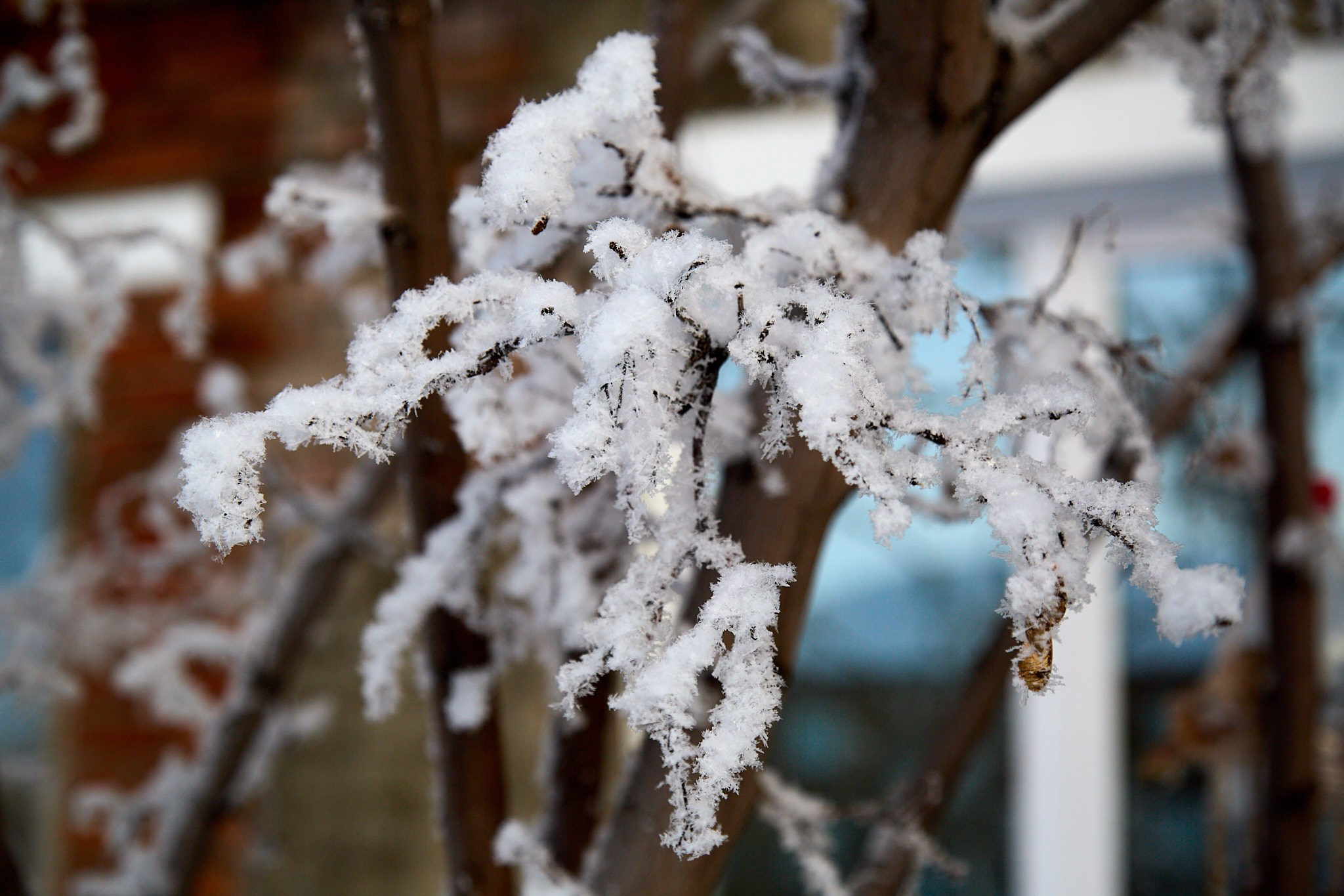 Предновогодняя сказка. Фотограф Омск | Александр Вандеров