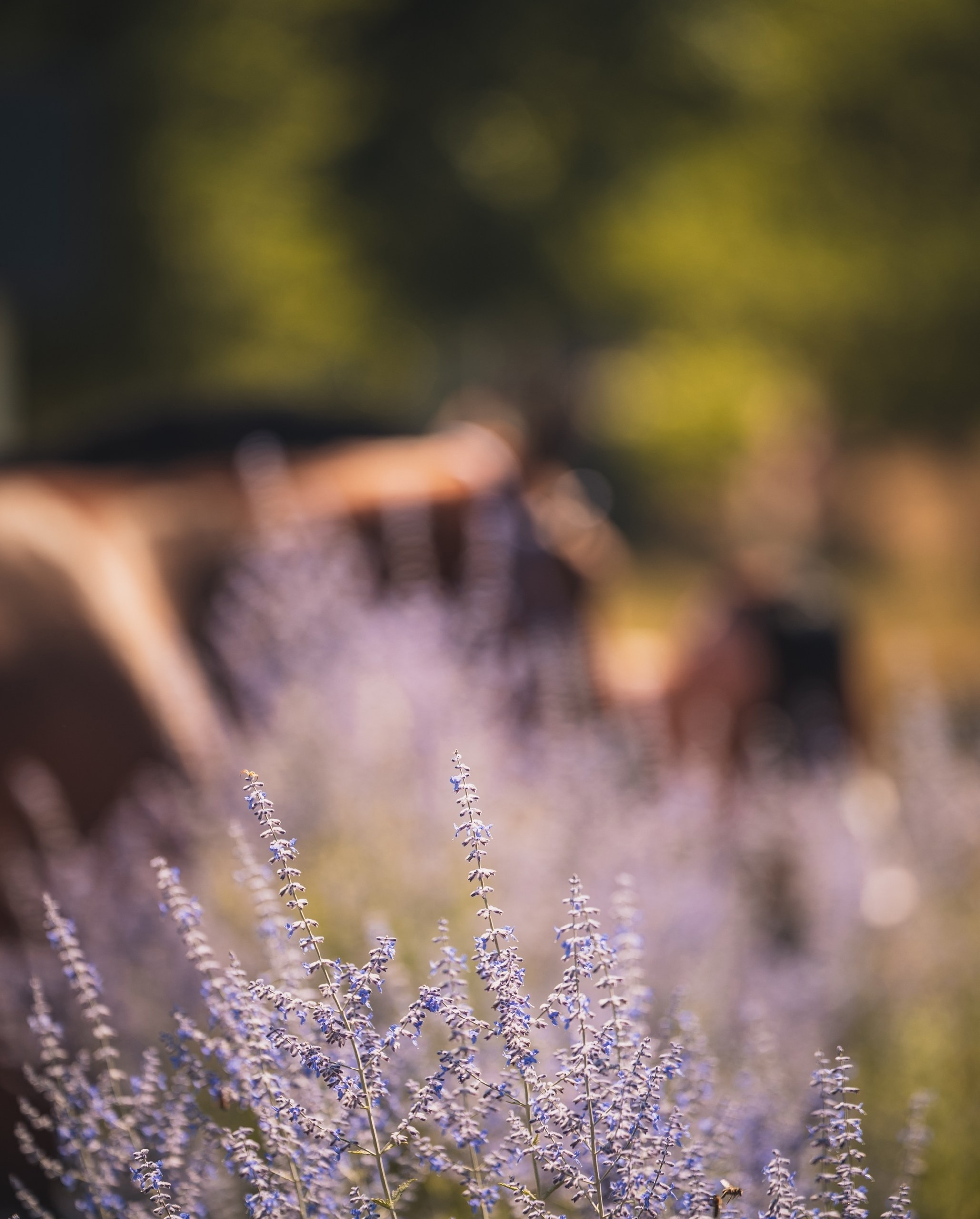 Даша и Сара.Мариуполь. Фотограф Варвара Ермоленко