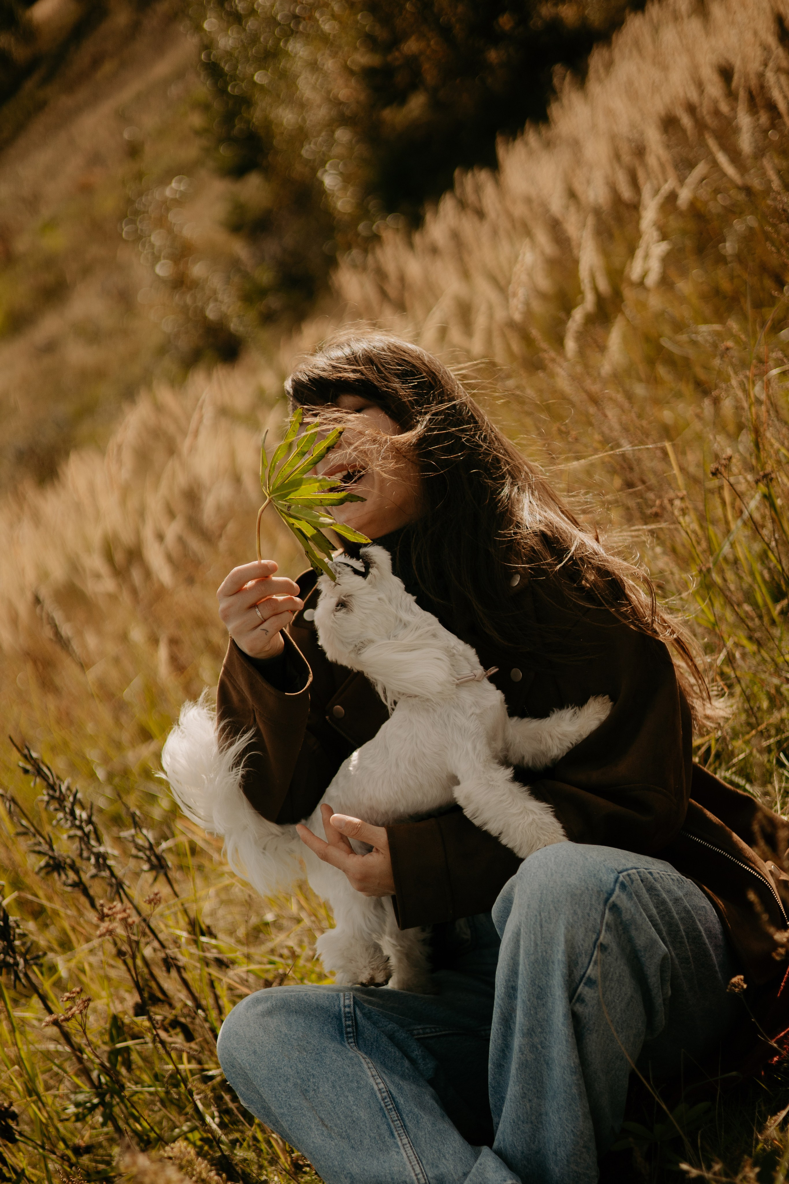 Любовь & Белла. Фотограф — анималист •love-story•|Санкт-Петербург