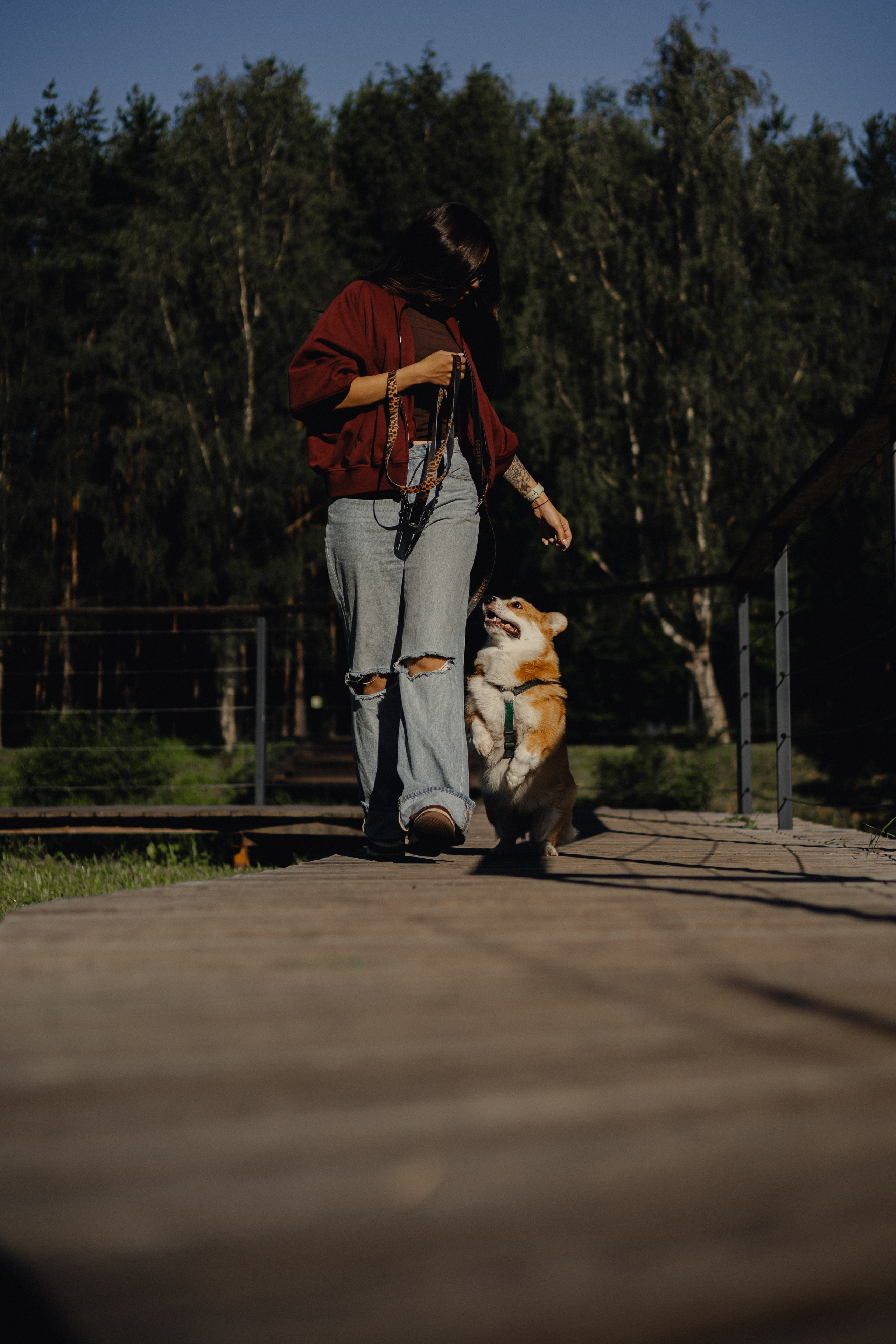 Мари & Йосик. Фотограф — анималист •love-story•|Санкт-Петербург