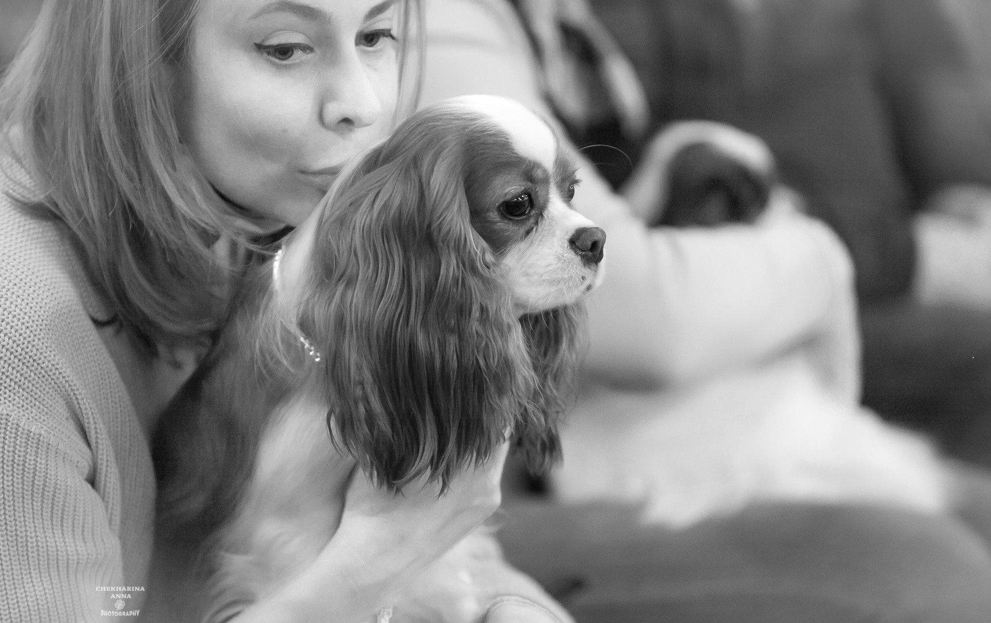 Анималистика. Профессиональный фотограф Чехарина Анна / pro photographer Chekharina