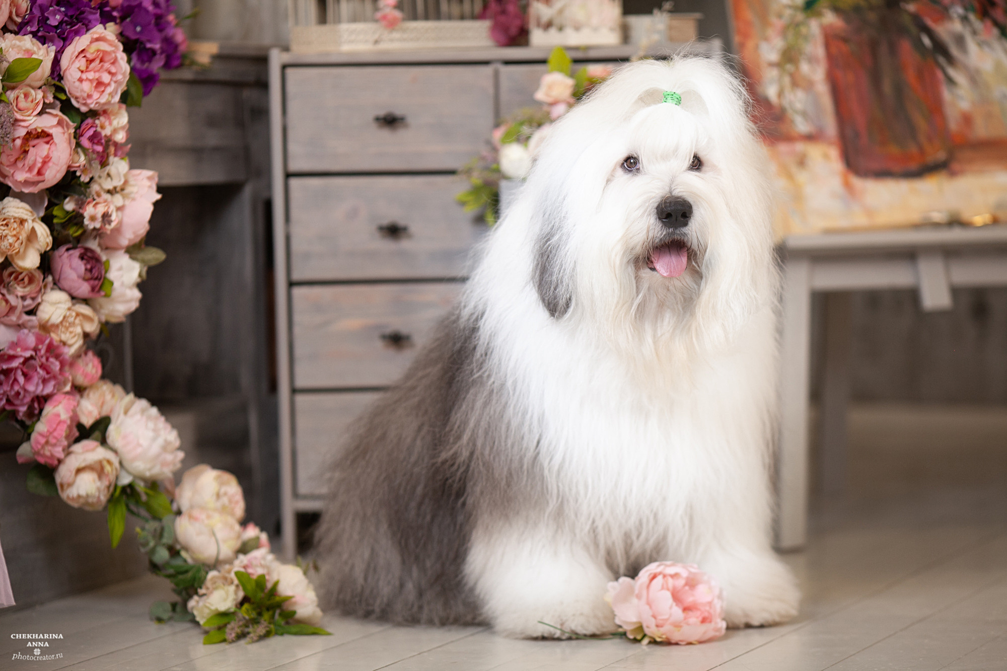 Анималистика. Профессиональный фотограф Чехарина Анна / pro photographer Chekharina