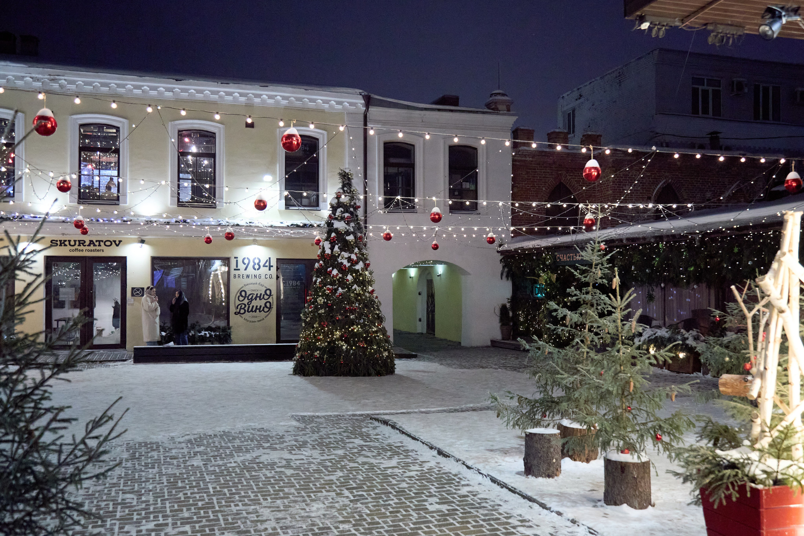 Новогодний Омск 2025. Фотограф Омск | Александр Вандеров