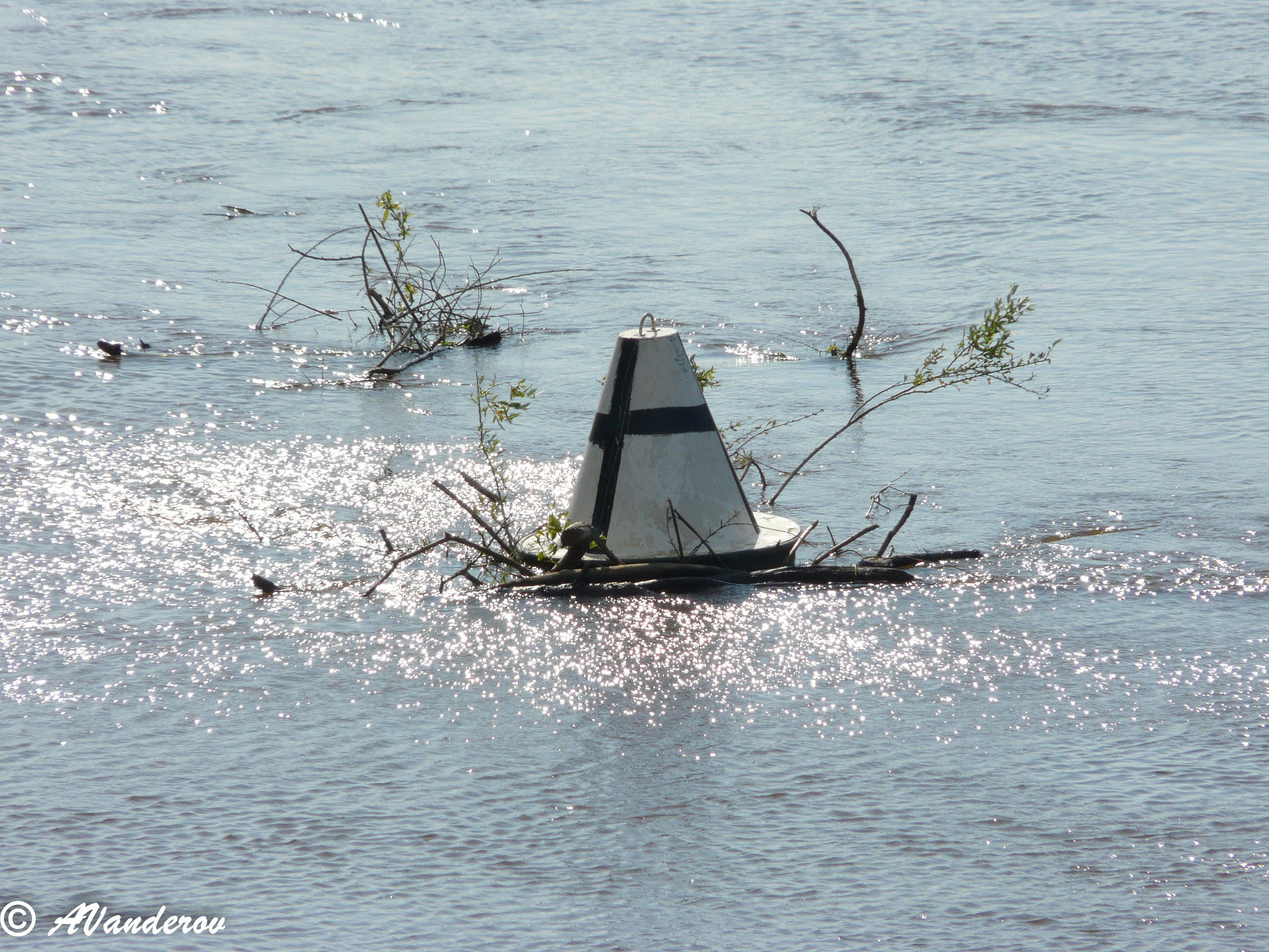Омск 2008. Фотограф Омск | Александр Вандеров