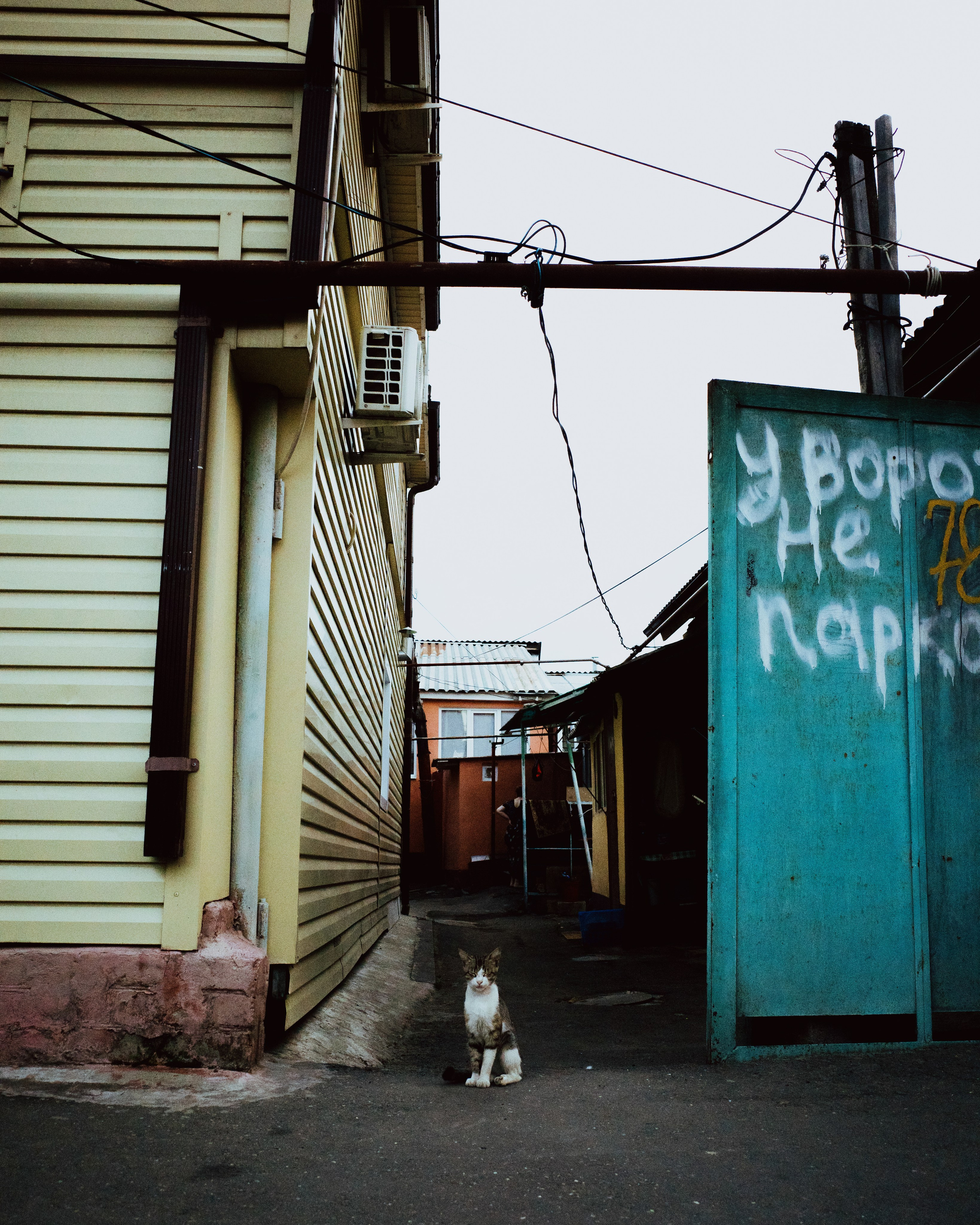 Dagestan / Yandex 360 x КУДА ГЛАЗА ГЛЯДЯТ