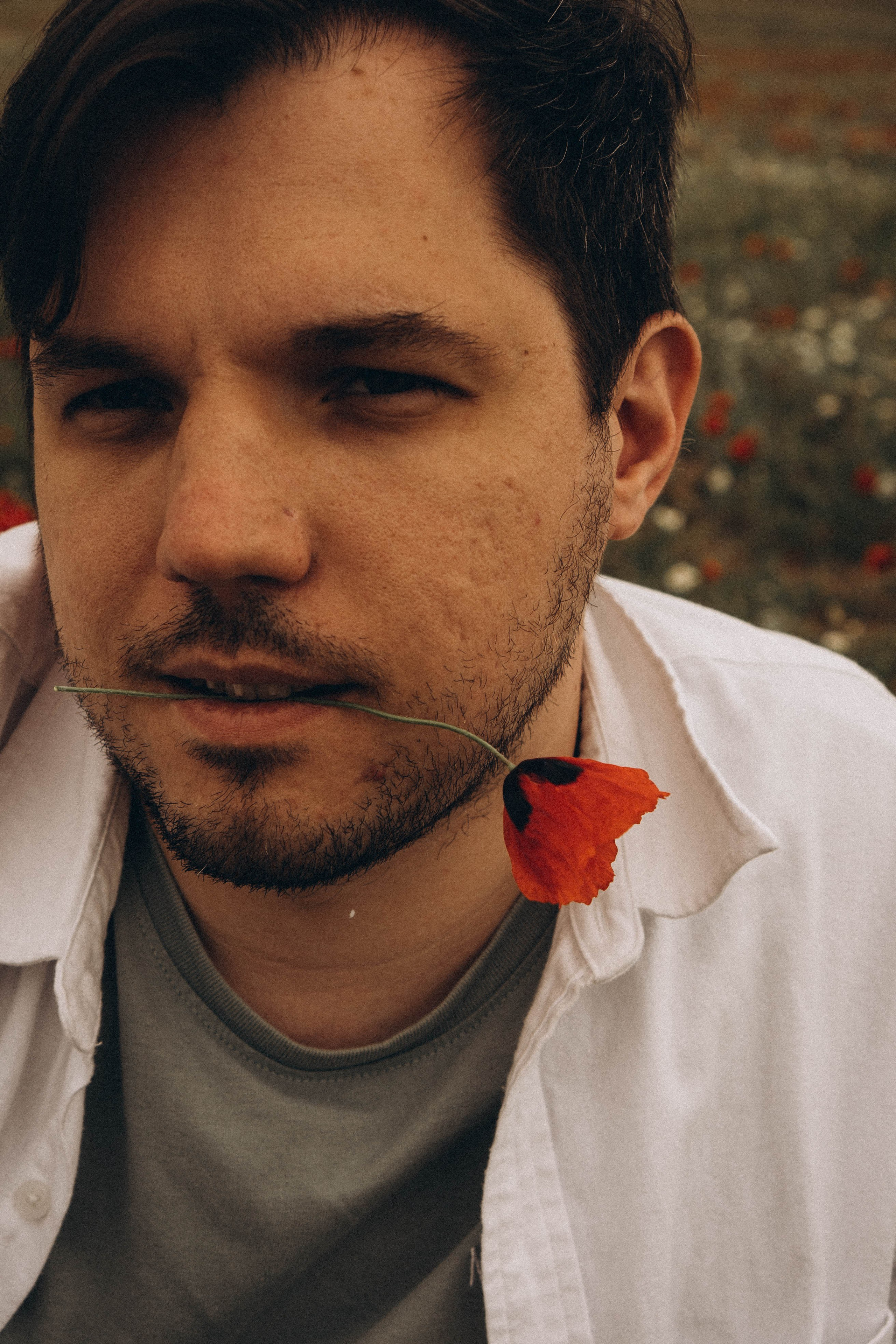 Маки. Профессиональный фотограф, Санкт-Петербург — Виктория Богомолова