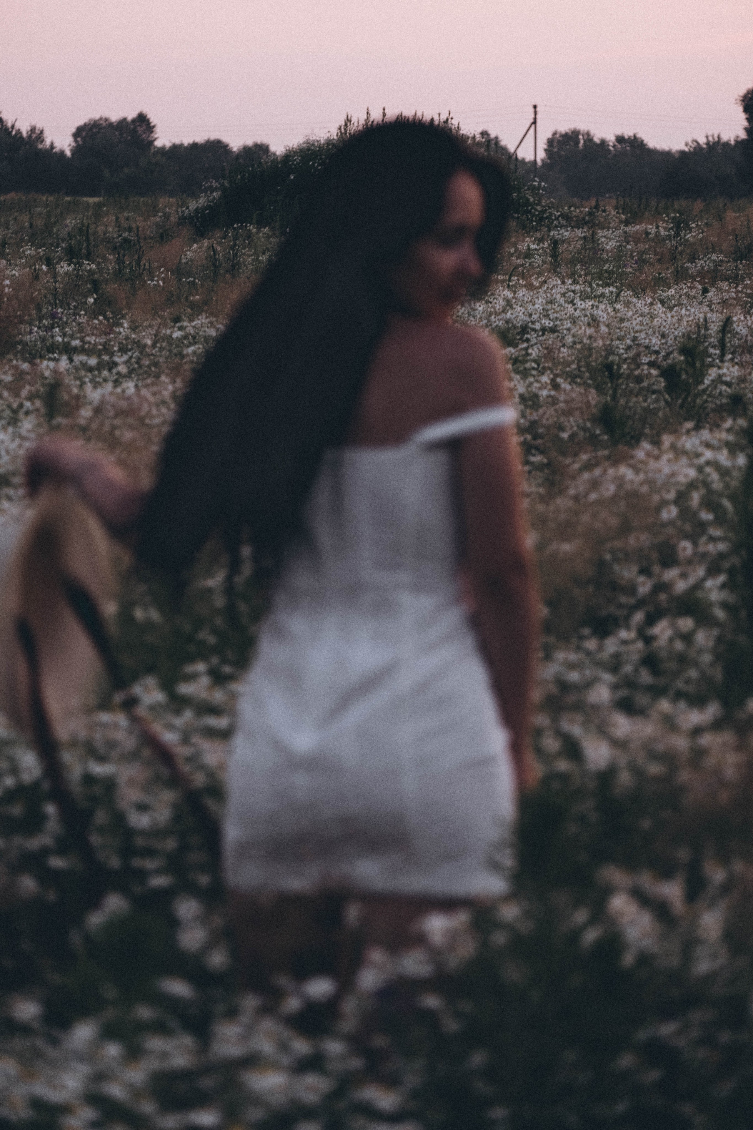 Ромашковое поле. Профессиональный фотограф, Санкт-Петербург — Виктория Богомолова