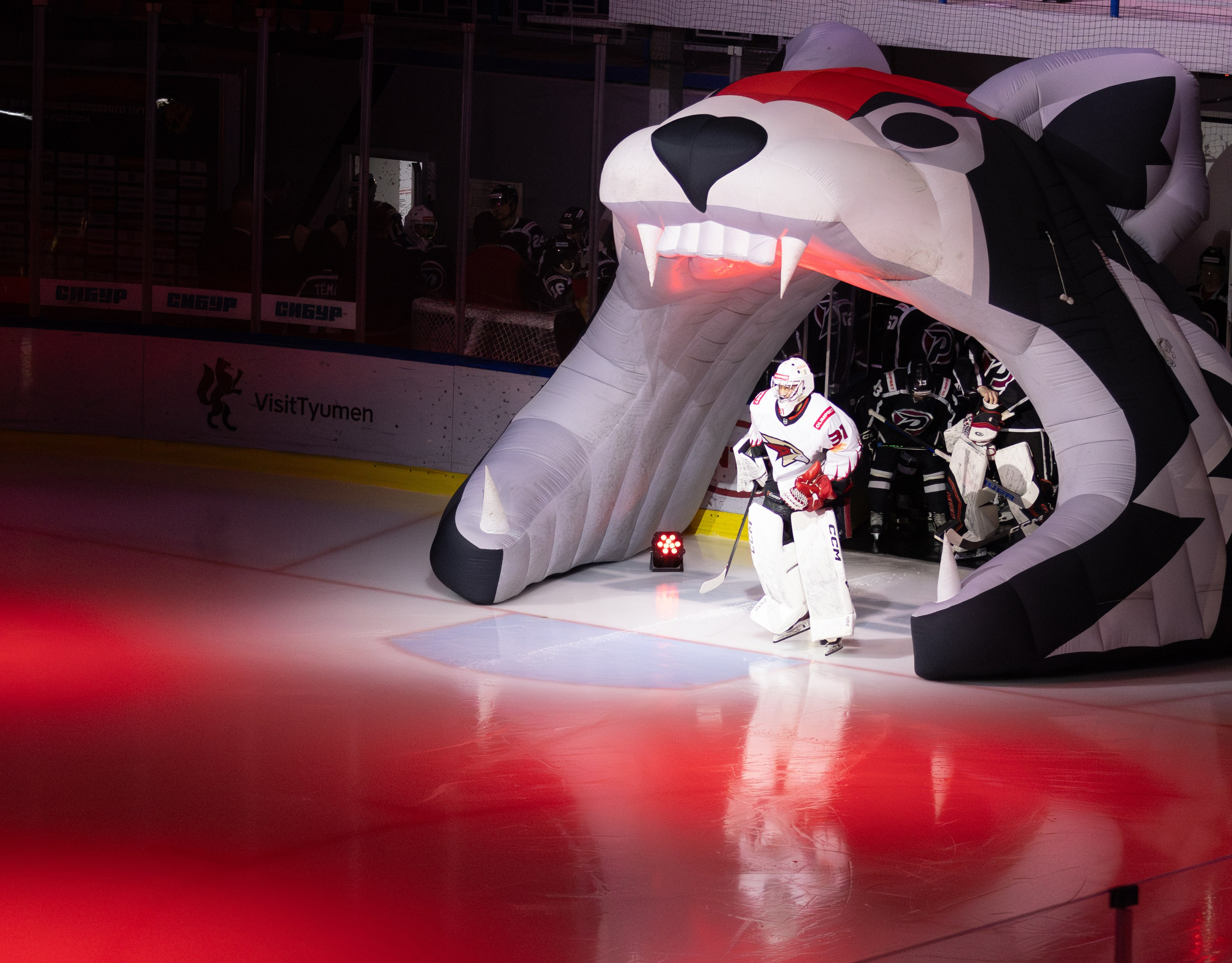 Спортивный фотограф в Тюмени Гудованый Алексей