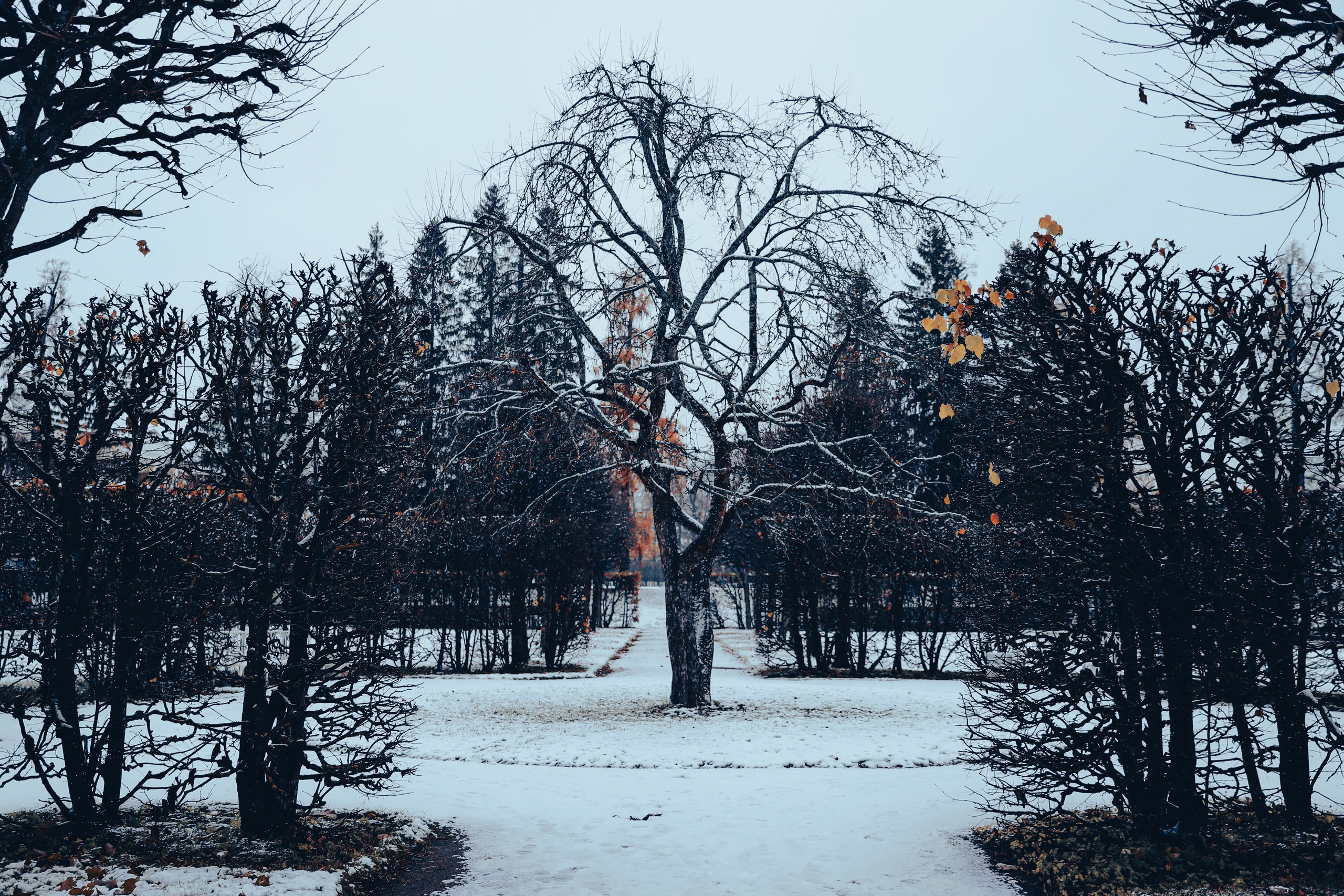 Фото с прогулок и с поездок на Кольский полуостров