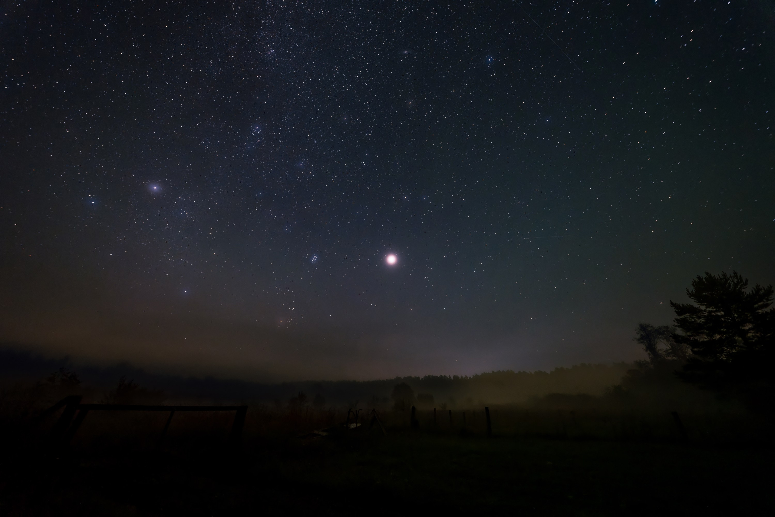 Фотографии Национальный парк Угра. Фотограф спортивные события, недвижимость, турбизнес