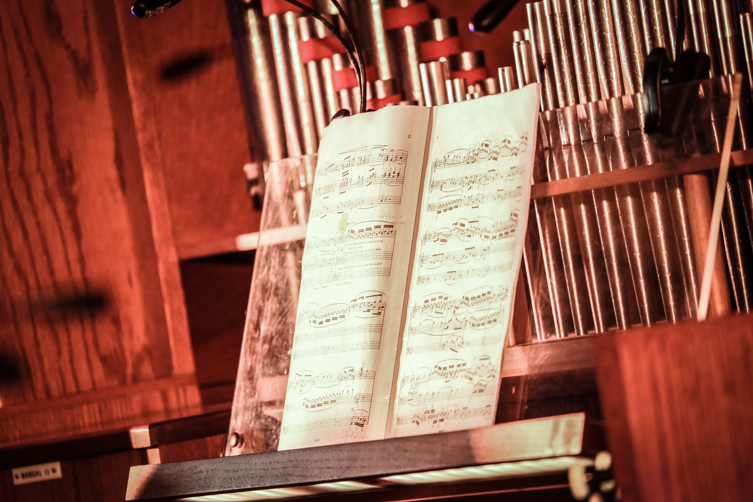 Возвышенная музыка: органный концерт в поднебесье. Дарья Письменюк / Darya Leitstern — фотограф, музыкант, журналист, путешественник