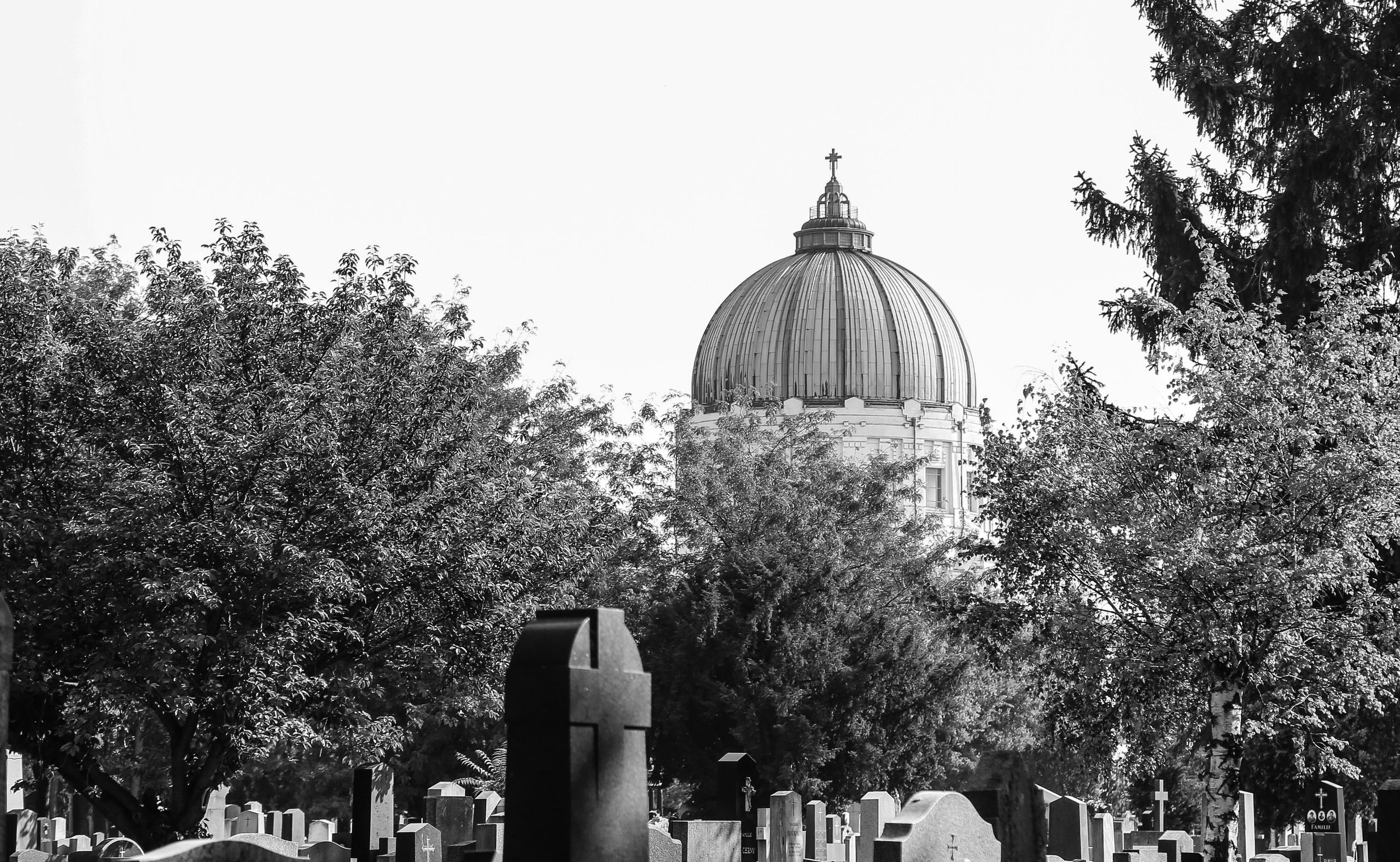 Австрия: Вена — Юденплатц и Центральной кладбище. Дарья Письменюк / Darya Leitstern — фотограф, музыкант, журналист, путешественник