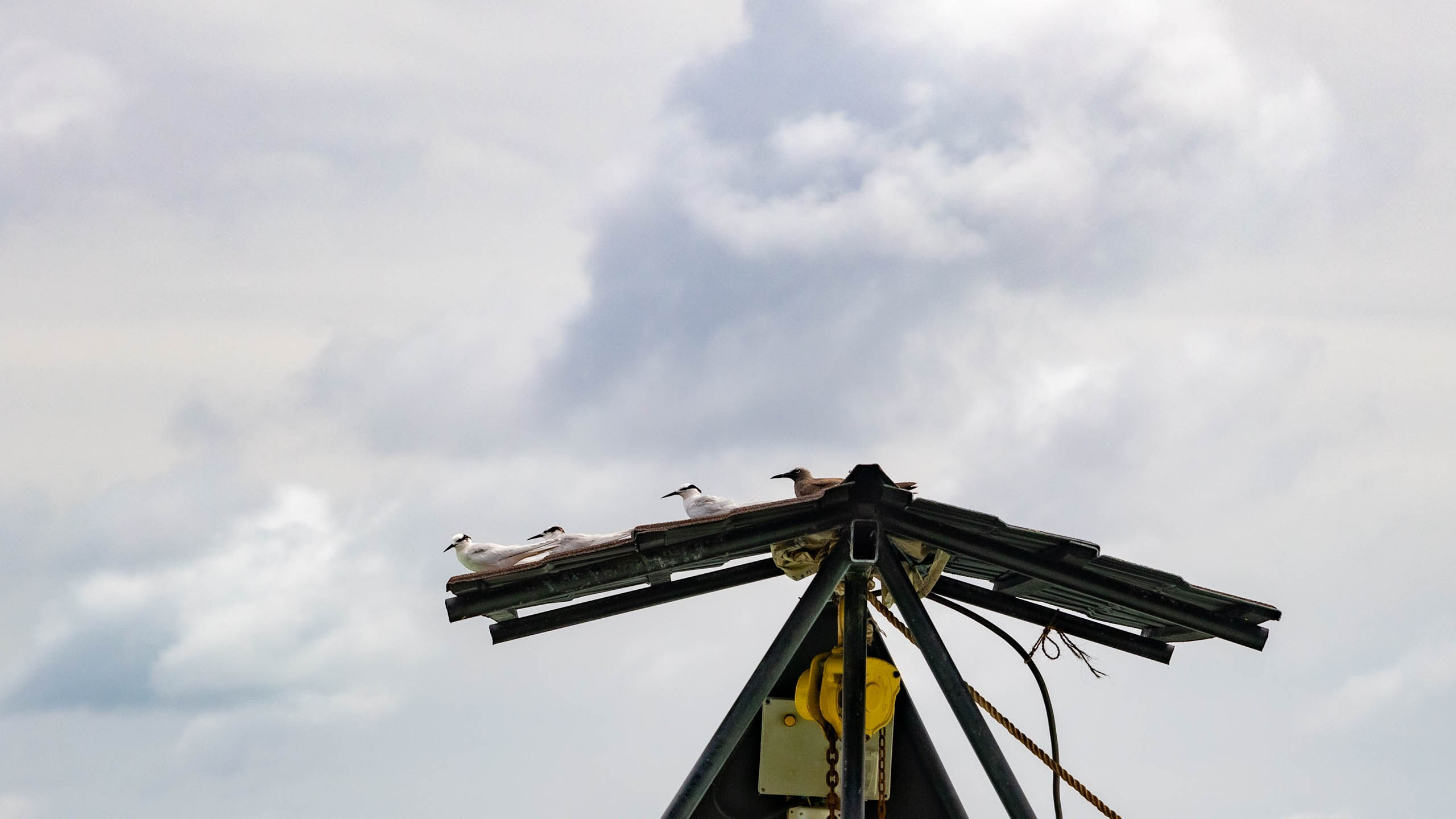 Мальдивы, Ellaidhoo Maldives by Cinnamon