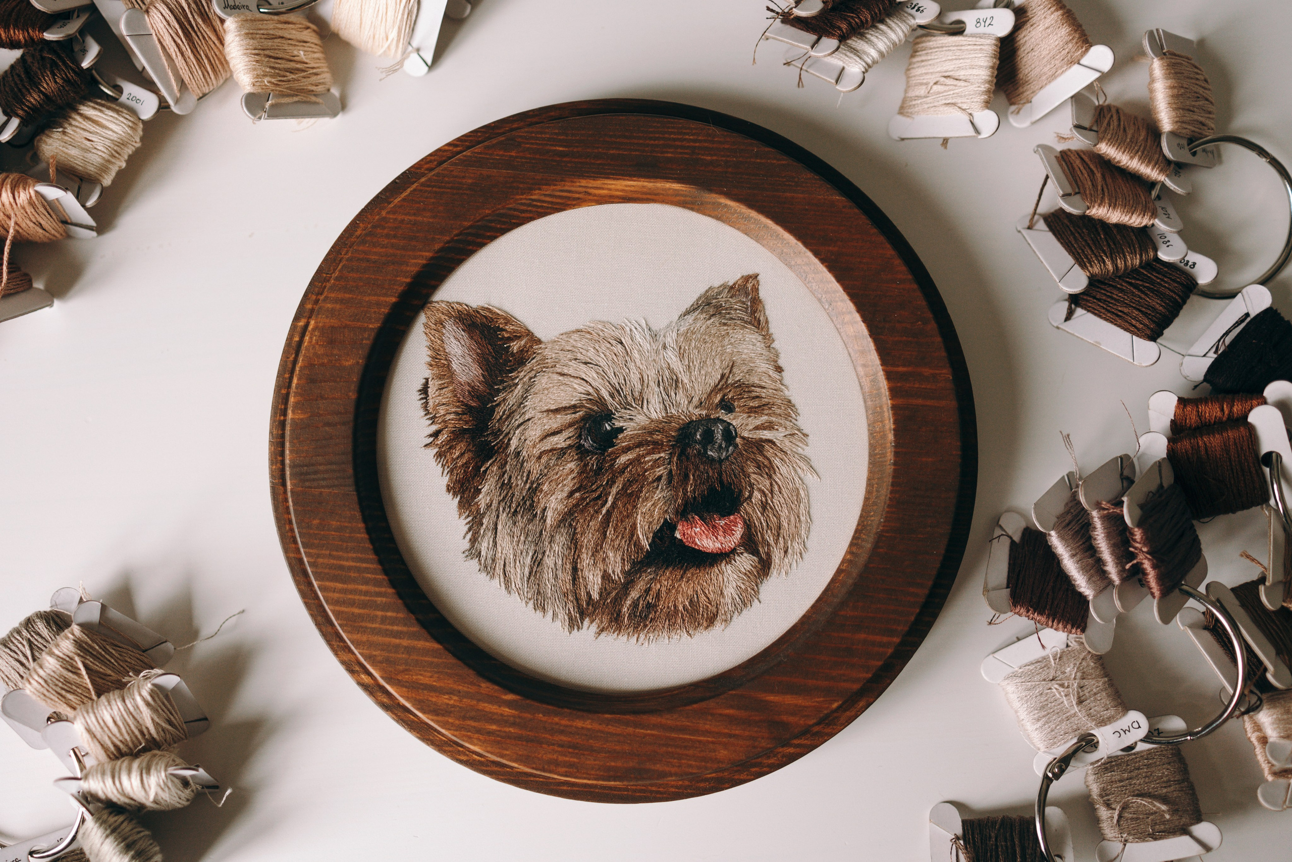 Портфолио. Портретная вышивка питомцев