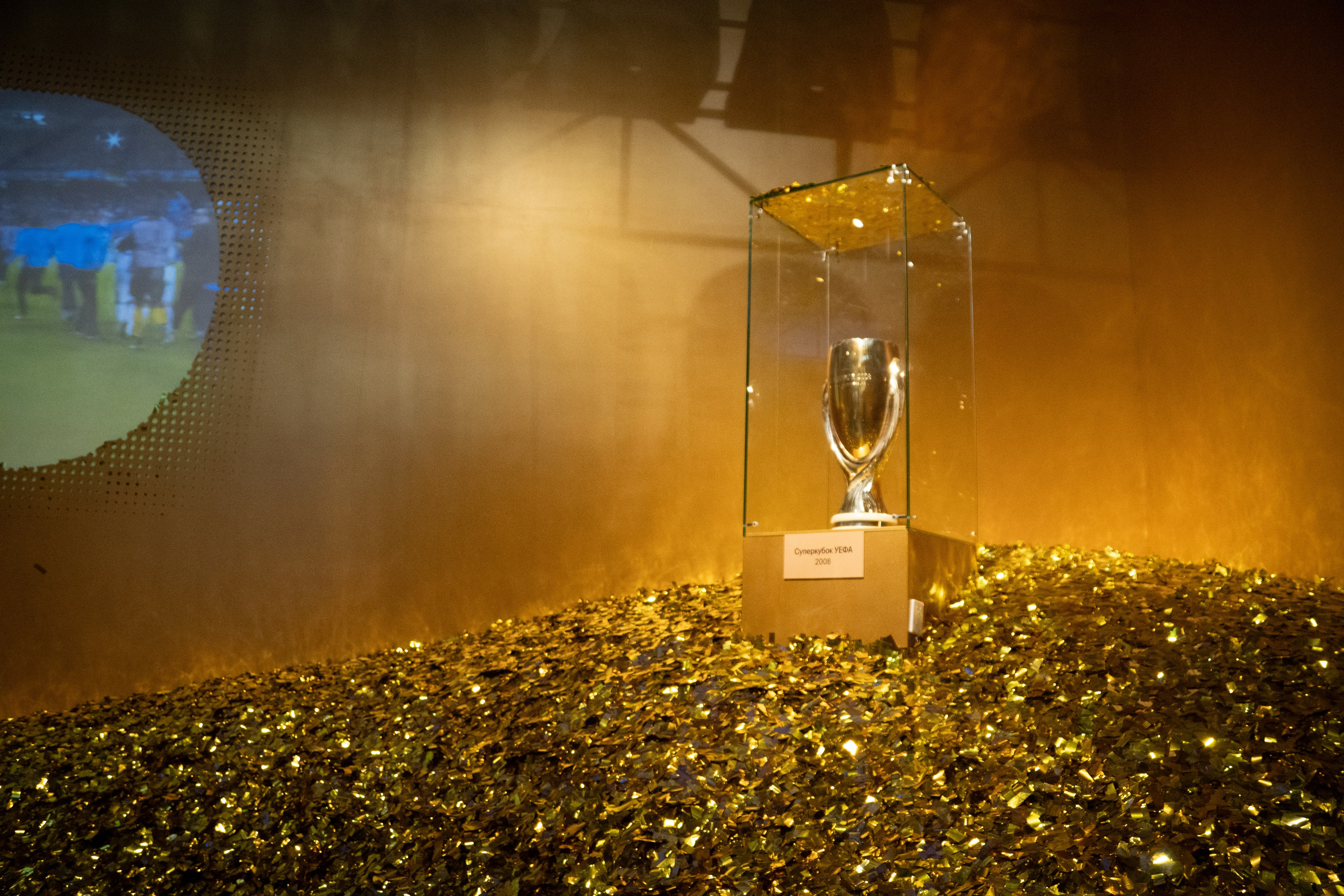 Выставка Зенит. Видеограф, фотограф в Санкт-Петербурге Элеонора Петрова