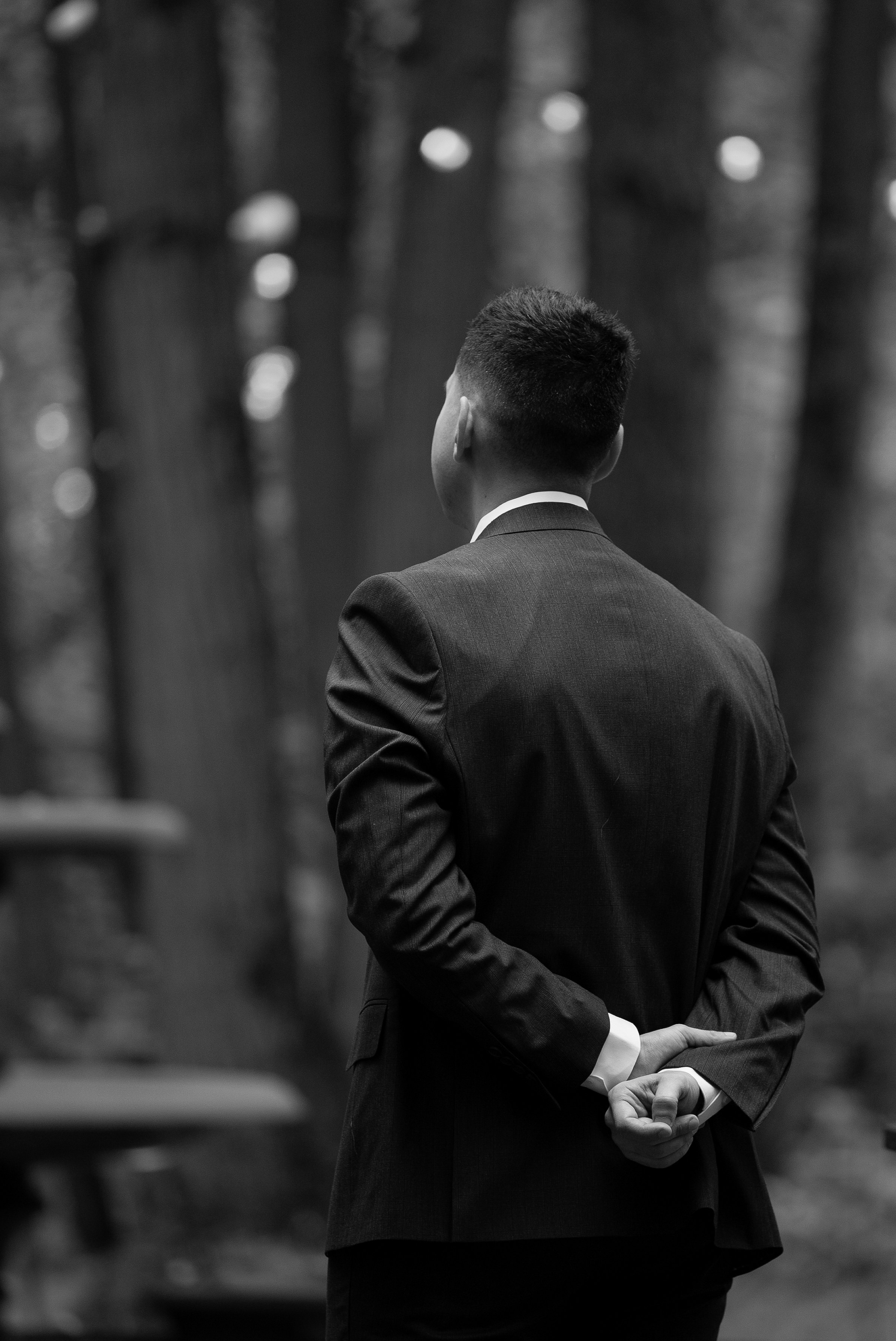 Давид и Екатерина. Свадебный фотограф Тула