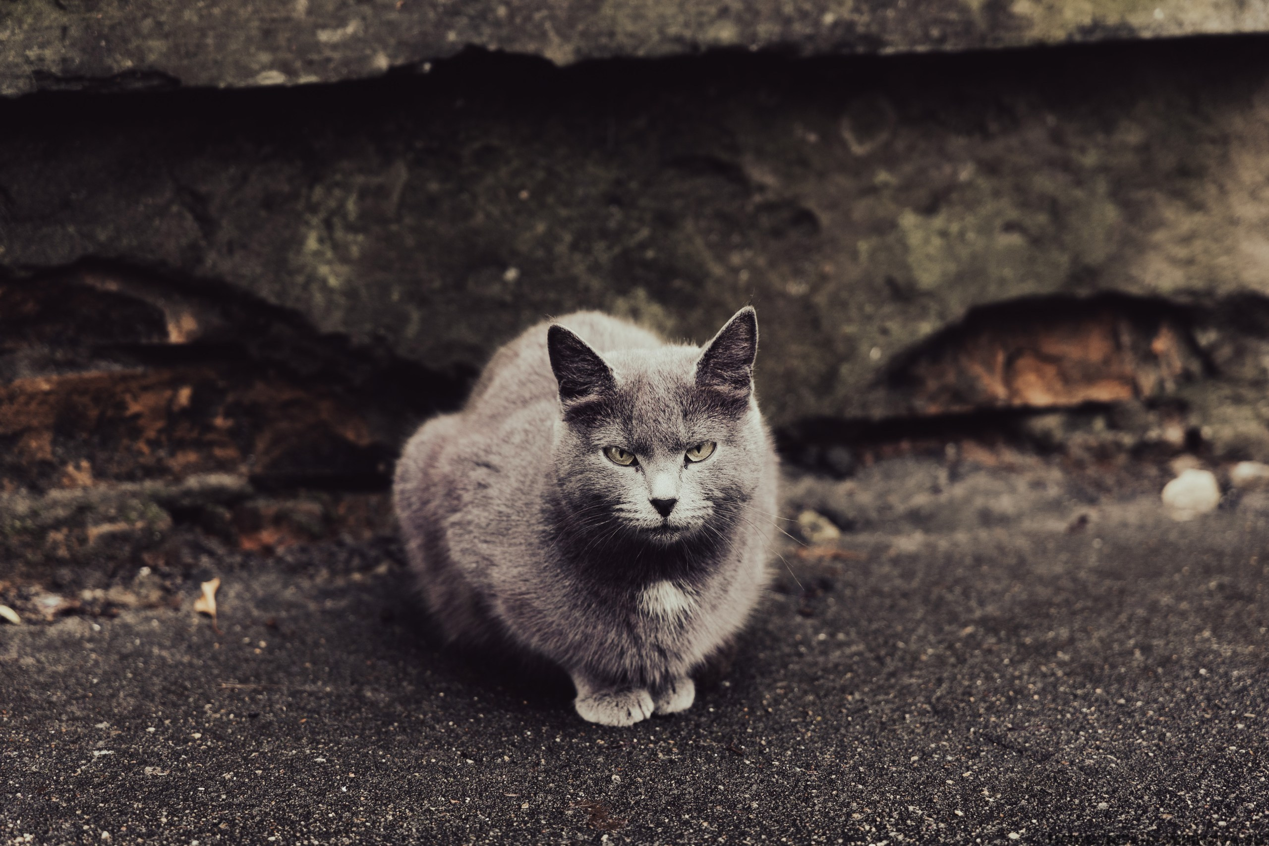 Назад в прошлое