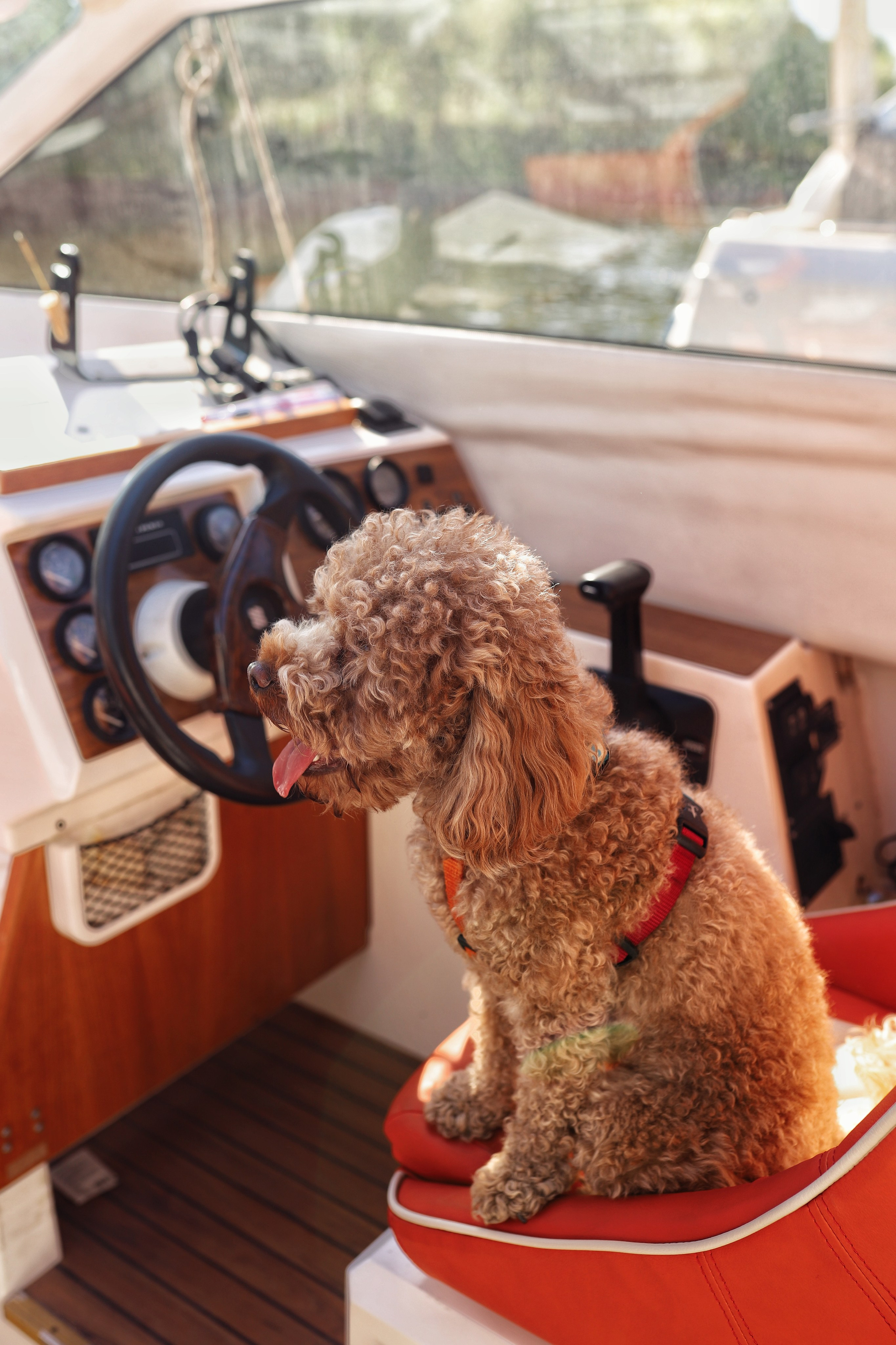 Съемка на воде. Фотограф и видеограф в Санкт-Петербурге