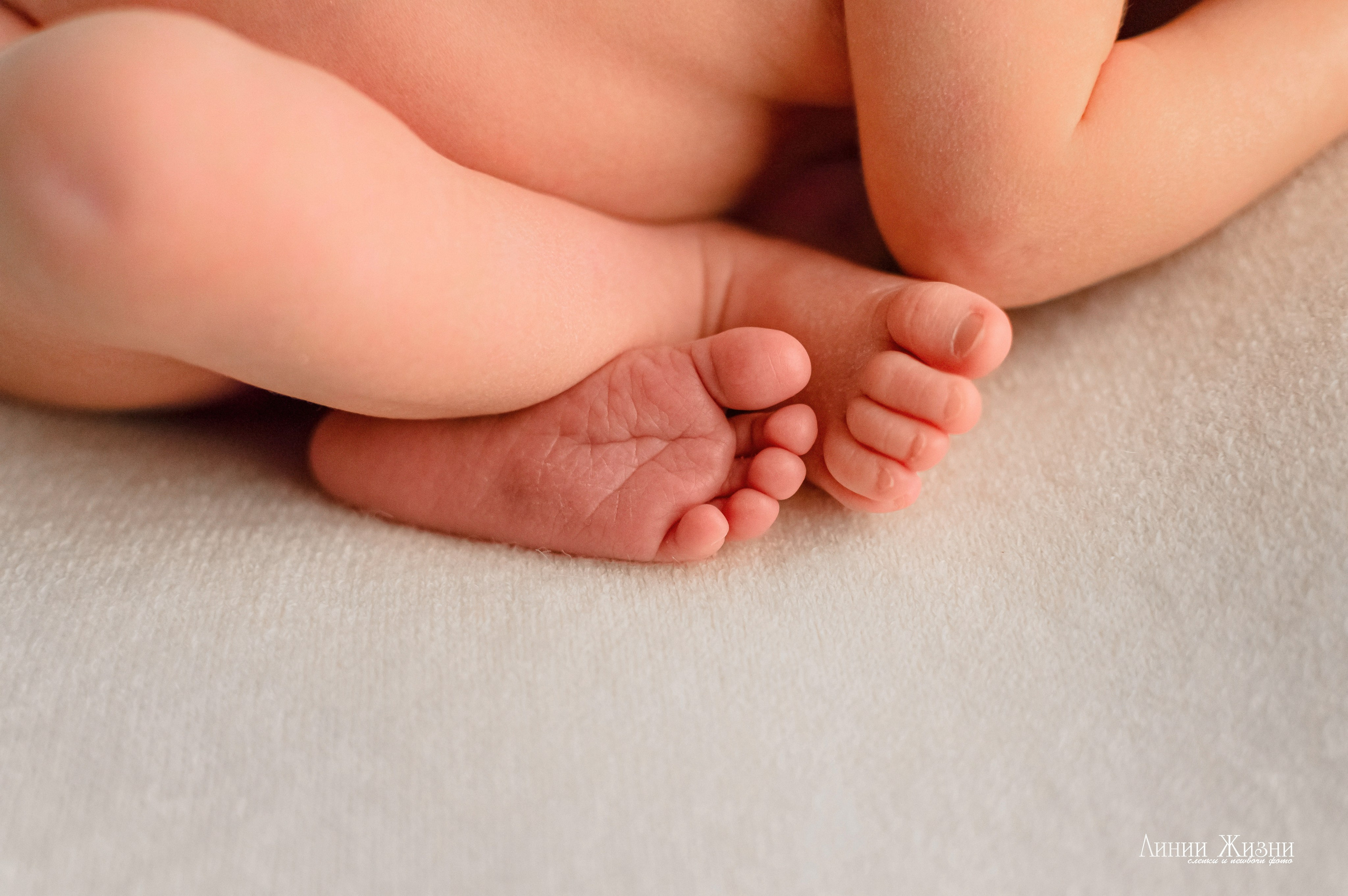 Анна 24 дня. Фотограф новорожденных в Нижнем Новгороде Сергеева Оксана