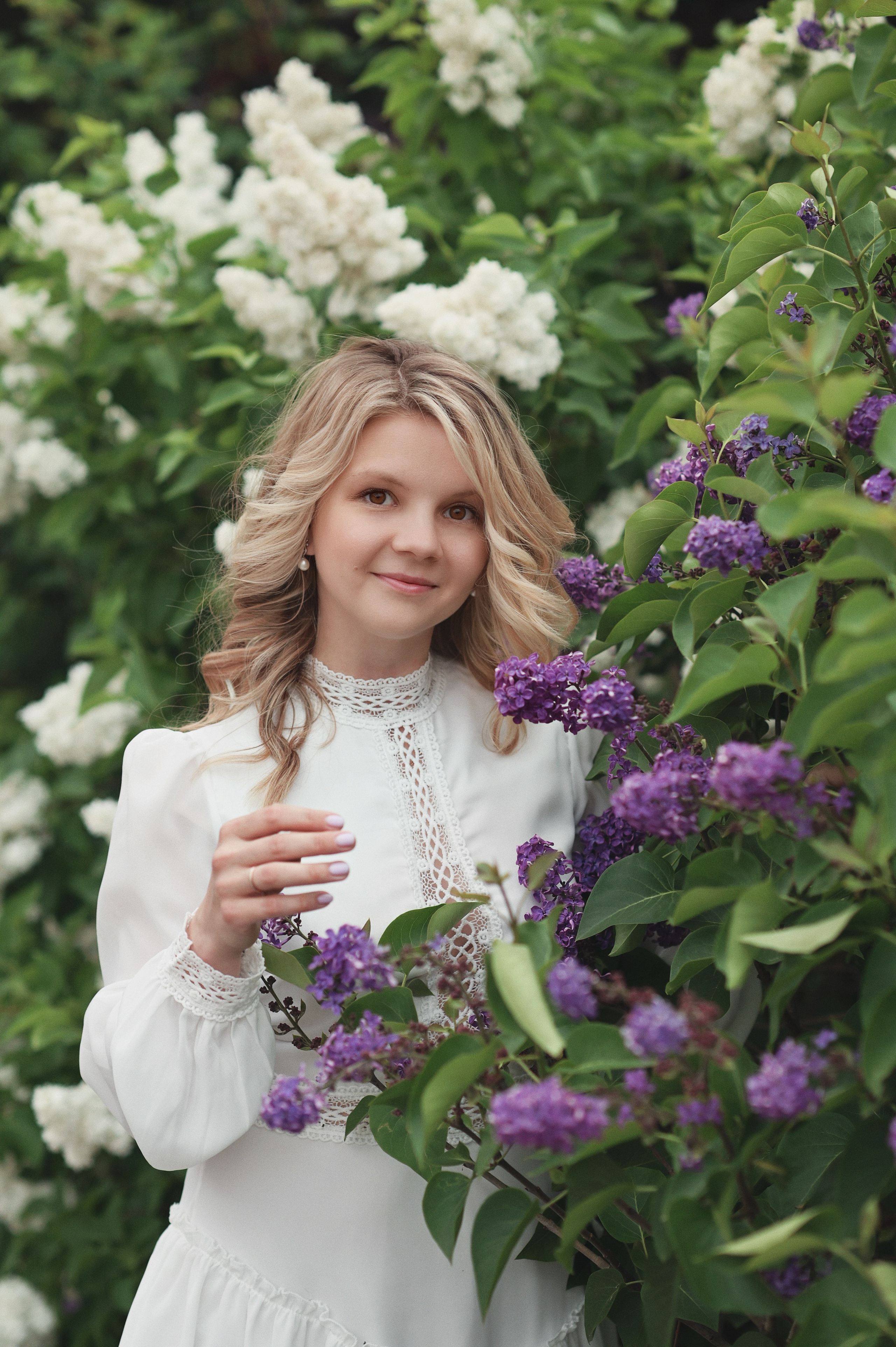 Сирень. Фотограф Альбина Вакунова