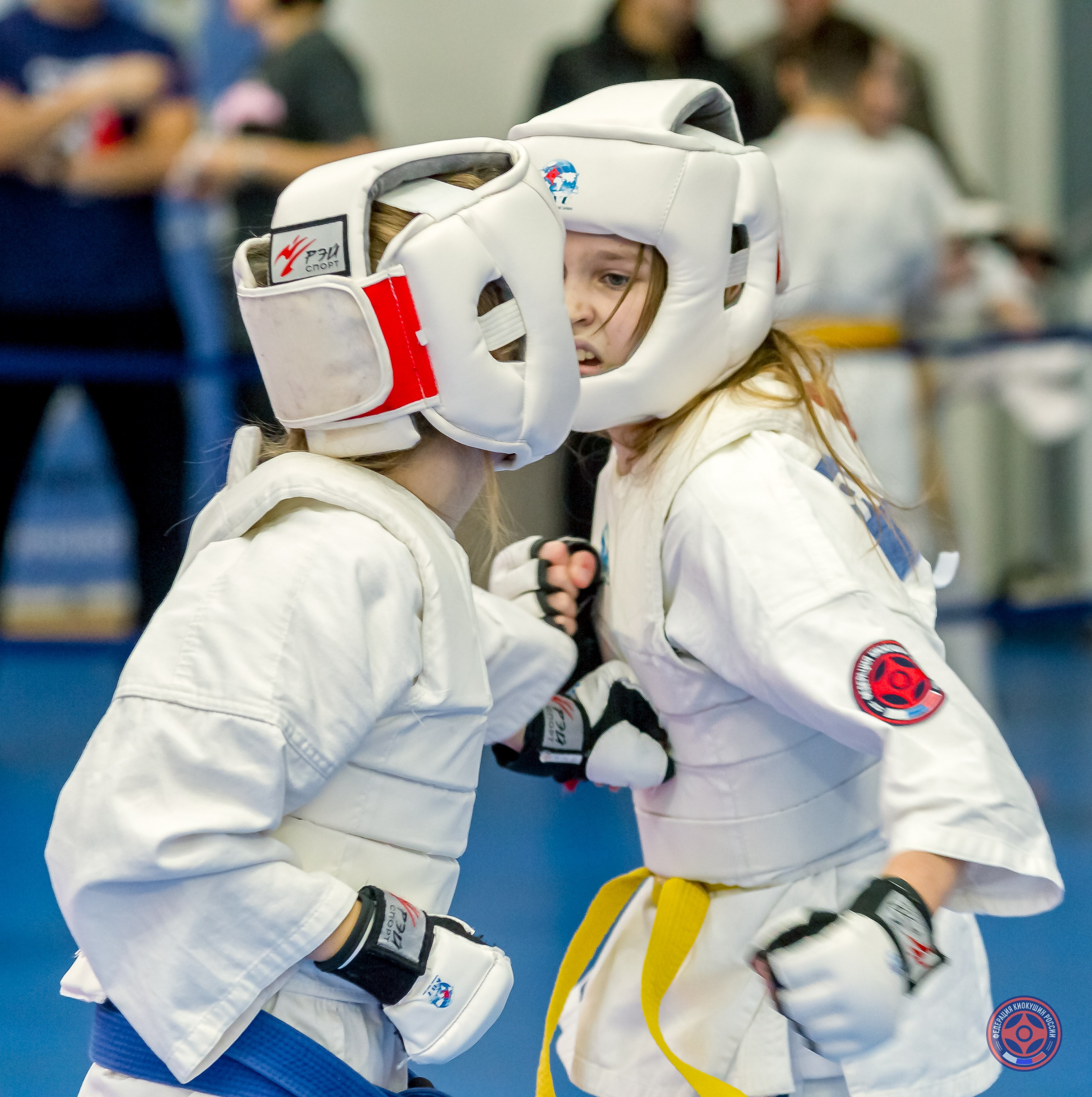 Соревнования по Киокушин памяти С. Увицкого. Репортажная съемка в Москве и области. Анималистика