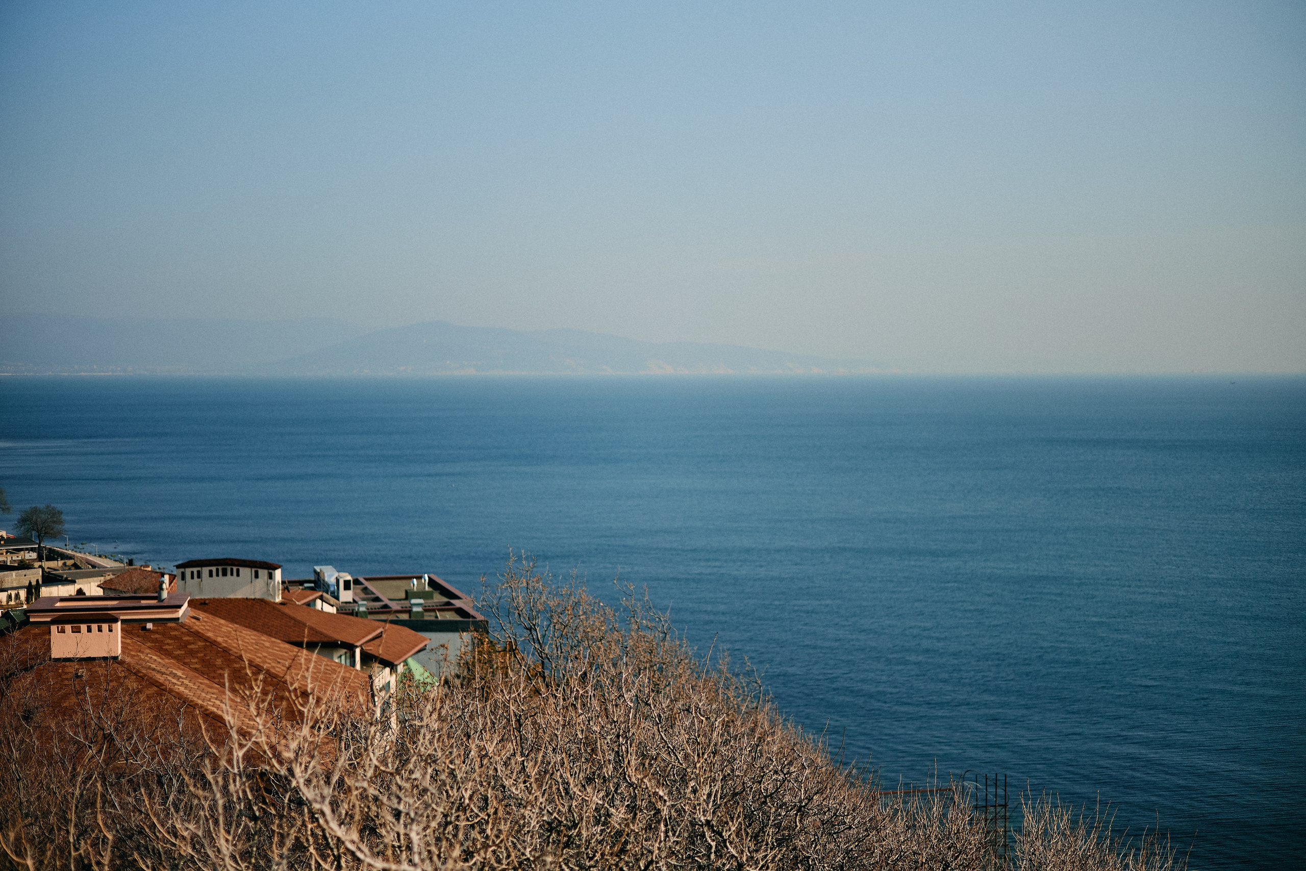Юг России. Профессиональный Фотограф во Владимире, в Москве и в Суздале — Полина Романычева