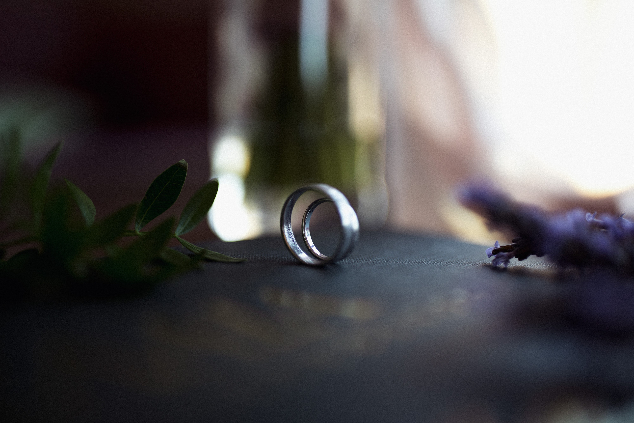 Максим & Ксения. Агентство по организации мероприятий