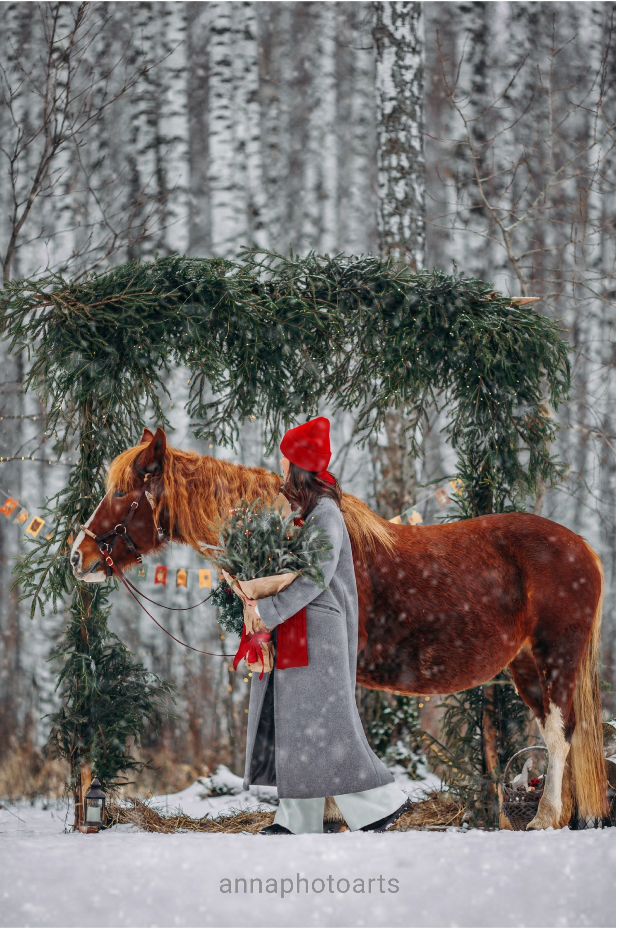 Тариф Новогодний 2025-2026. Анна Молчанова конный фотограф в Тюмени | фотосессии с лошадьми Тюмень