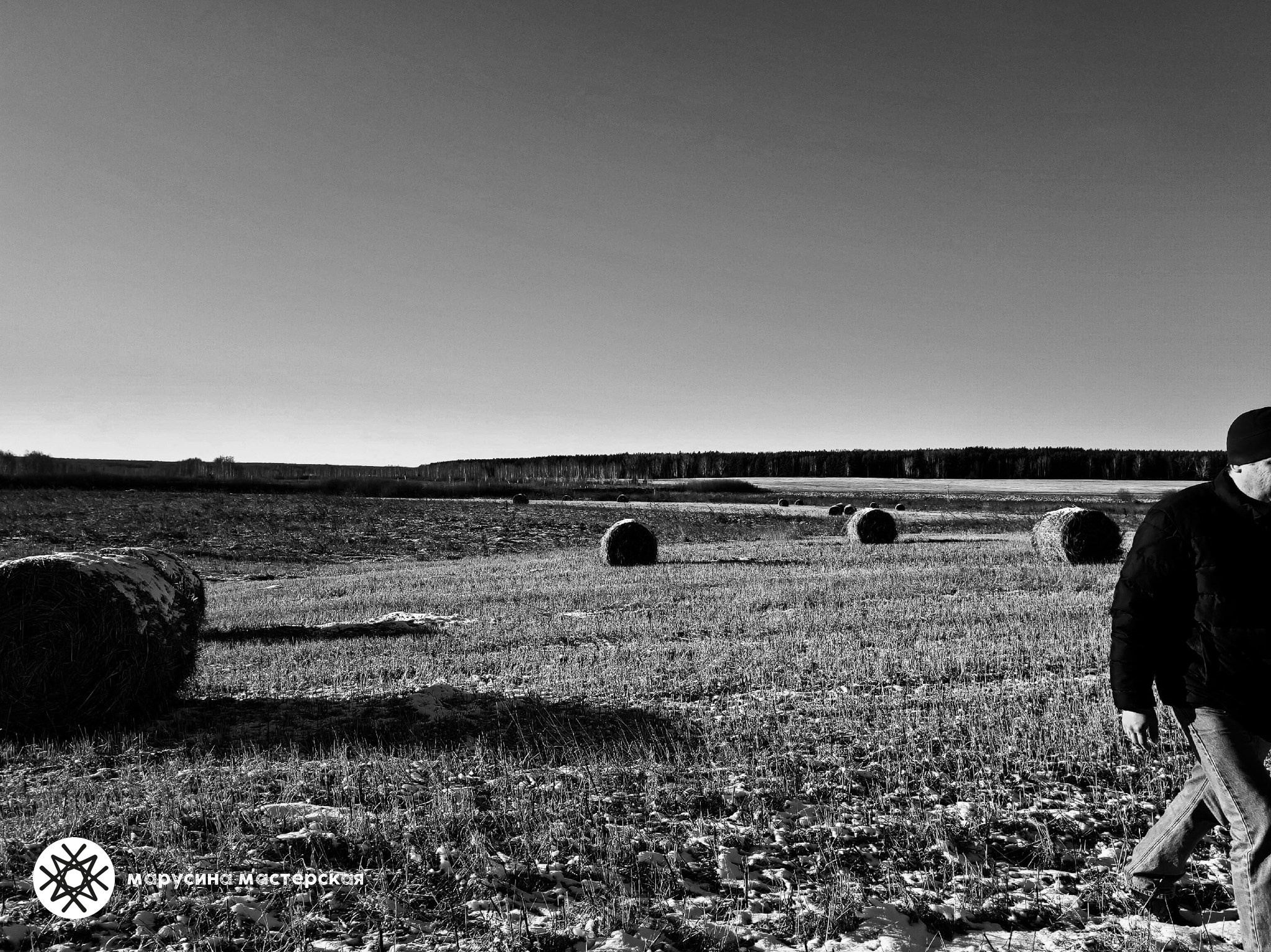 Светлана Макурина