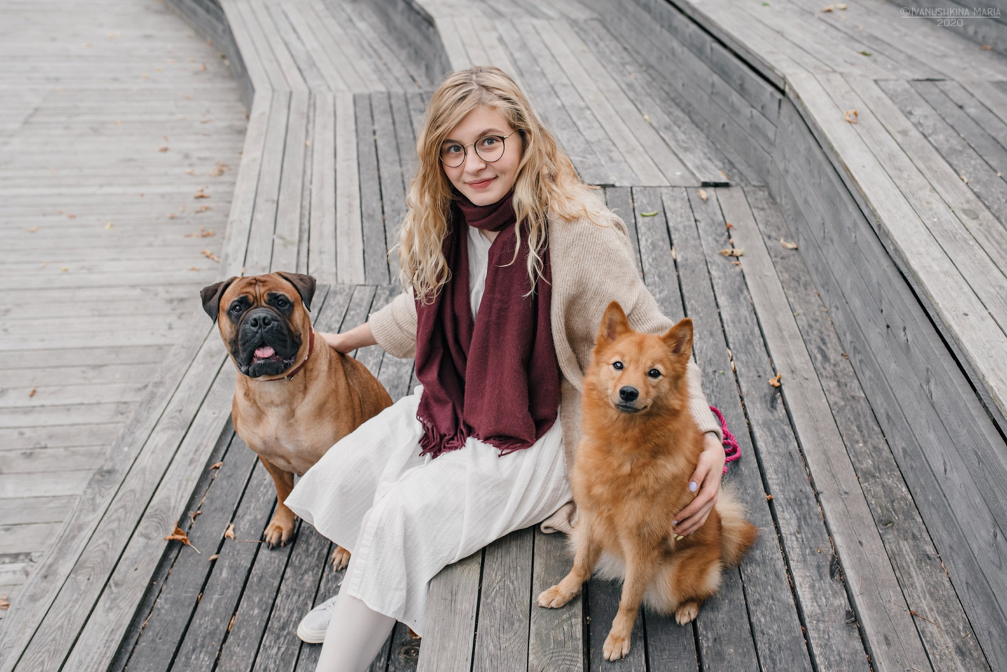 Фотосессия с собакой. Фотограф собак в Москве и Московской области Иванушкина Мария