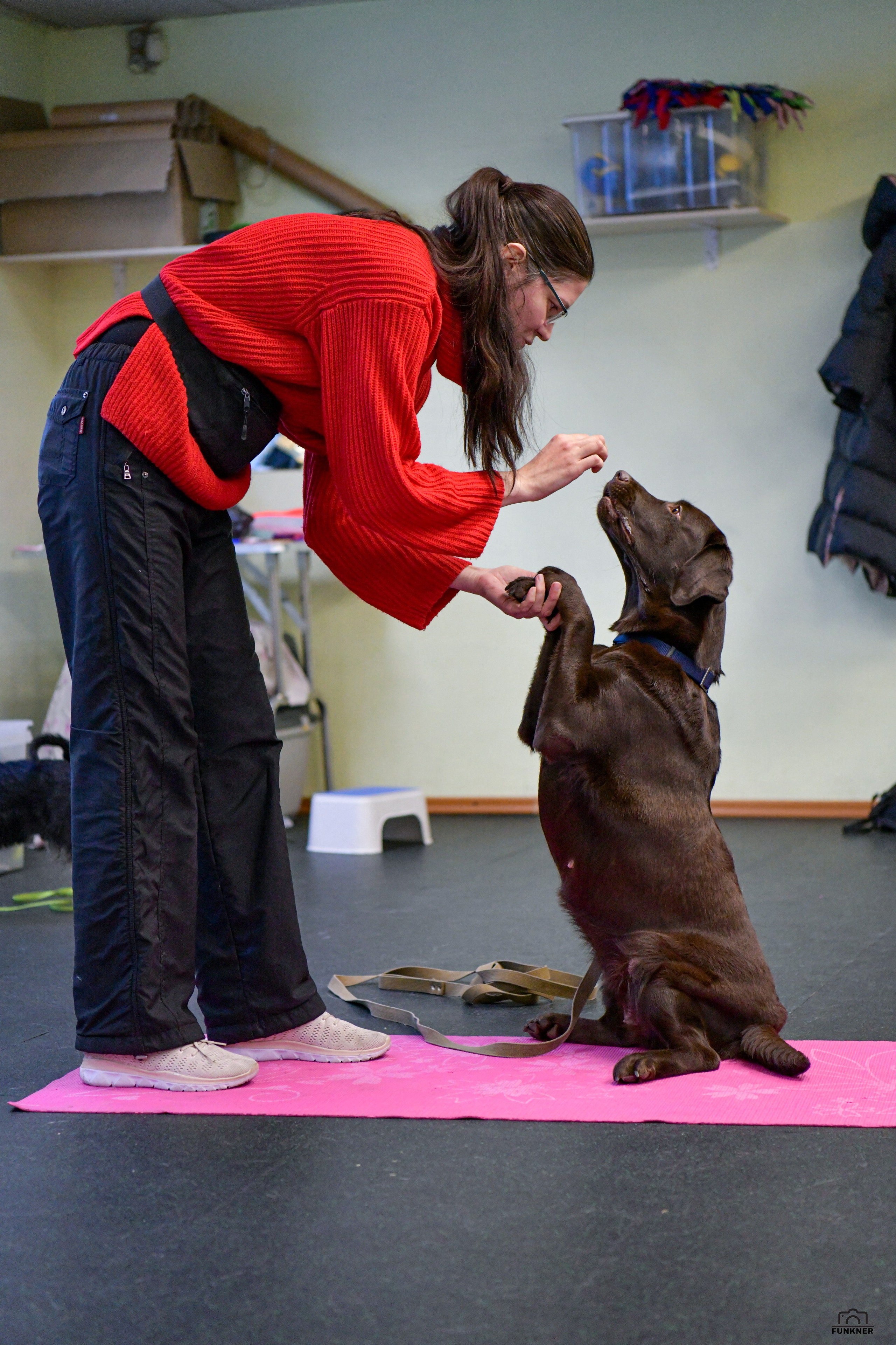 Кинологический клуб «Бодрый хвост». Свой взгляд через объектив