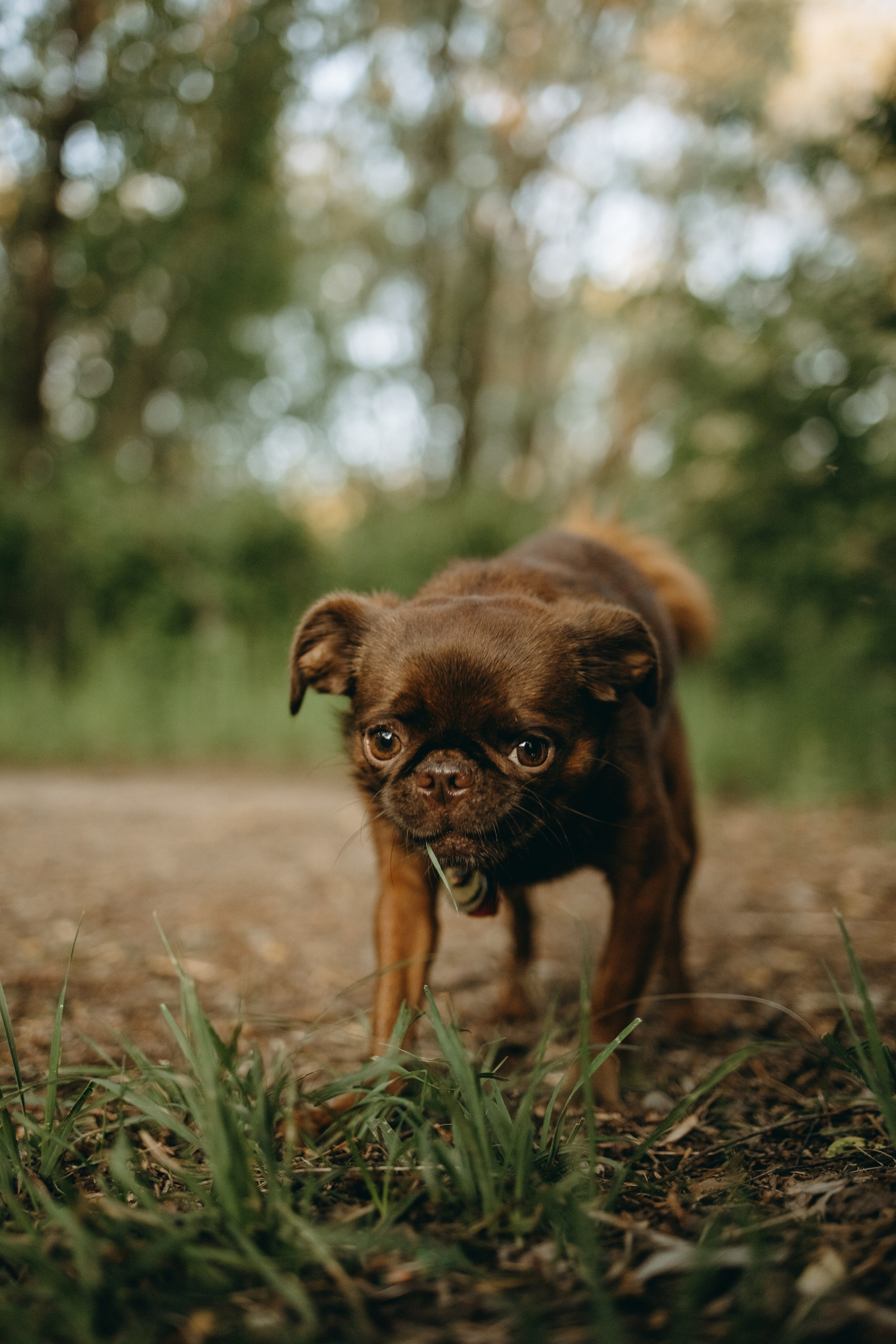Екатерина и Лёня. Фотограф — Анималист | Санкт-Петербург