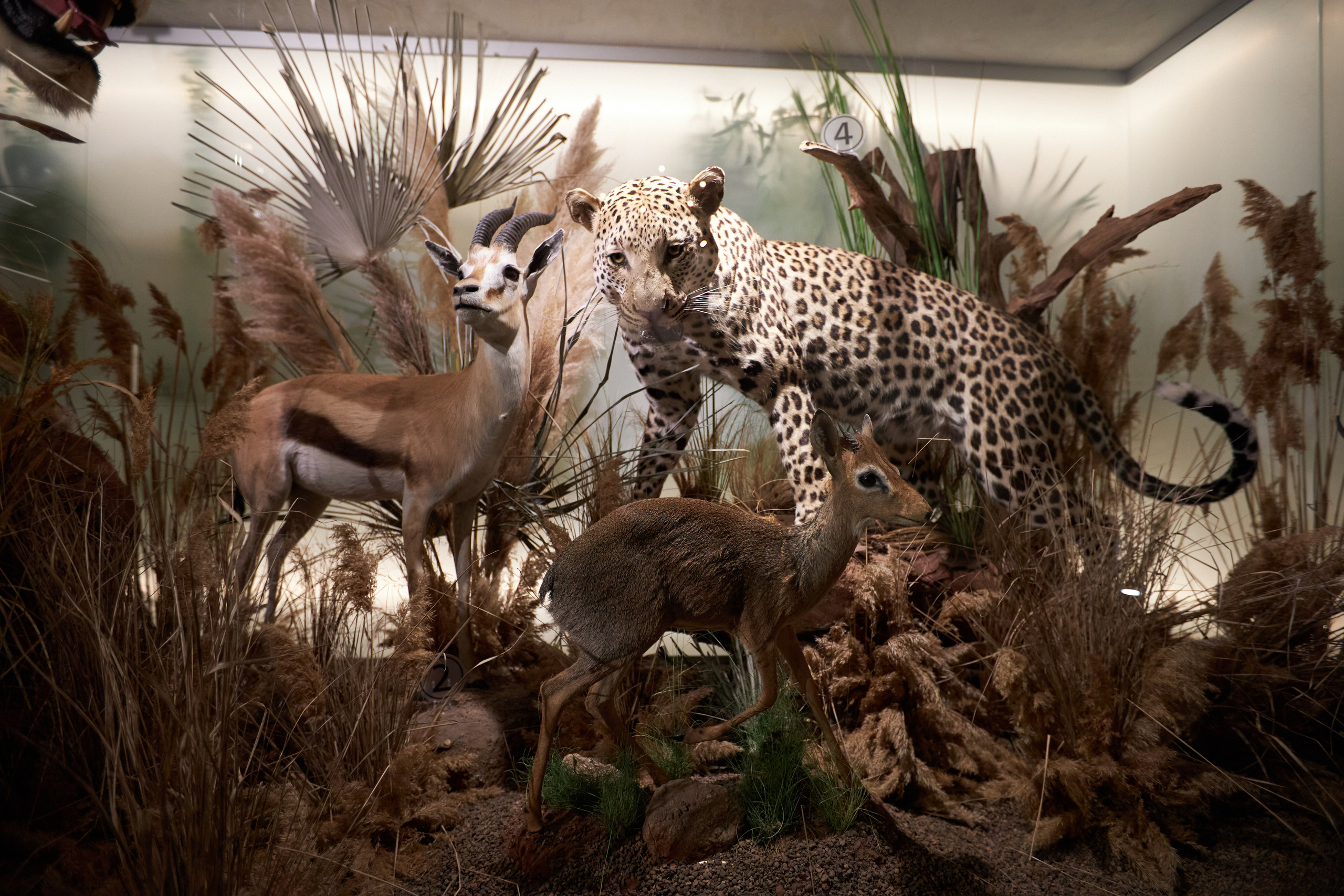 Взрослый ДР. Супер-быстрый репортажный фотограф в Самаре Ринат Калимуллин