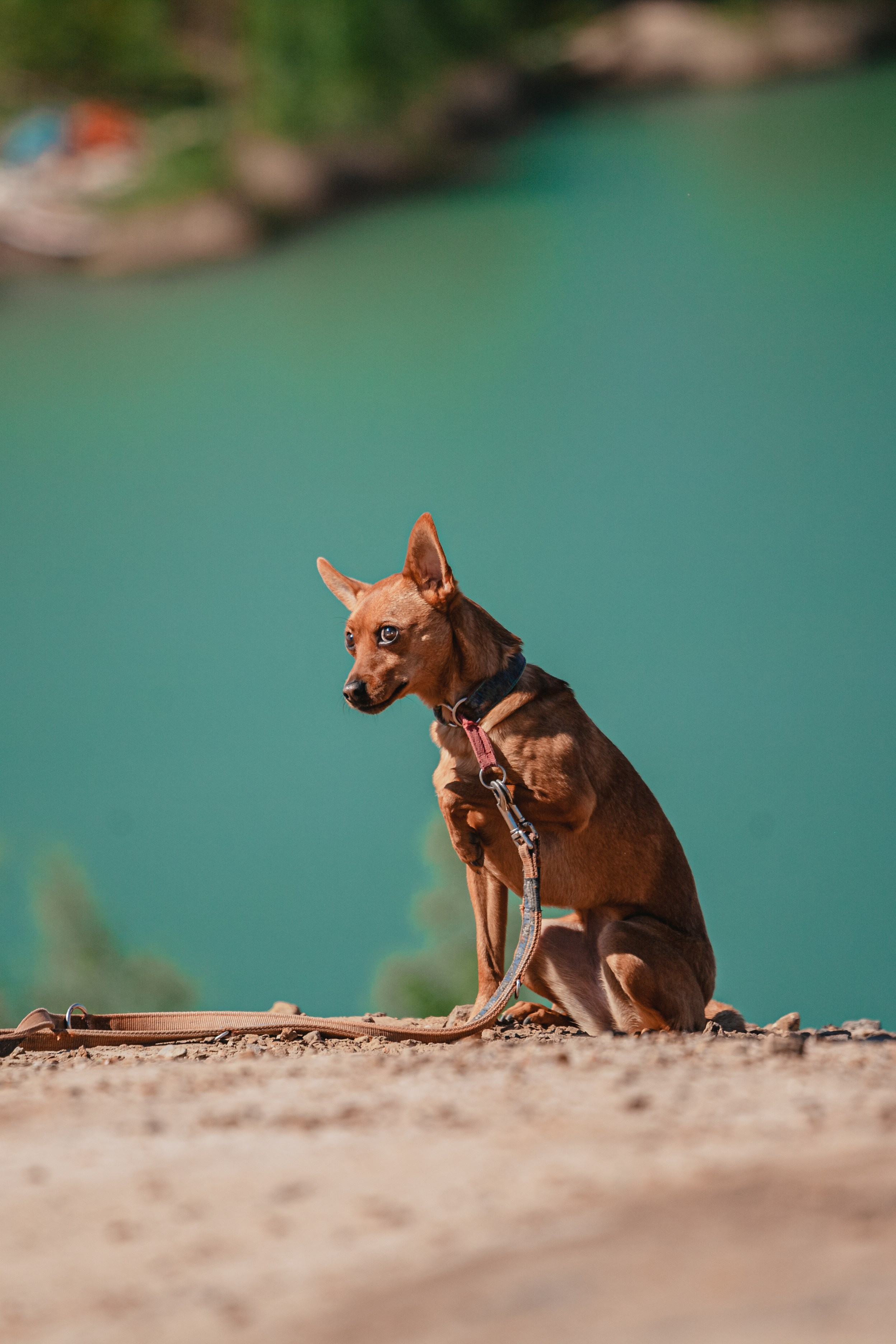 Кондуки. Фотограф-анималист Татьяна Степанова