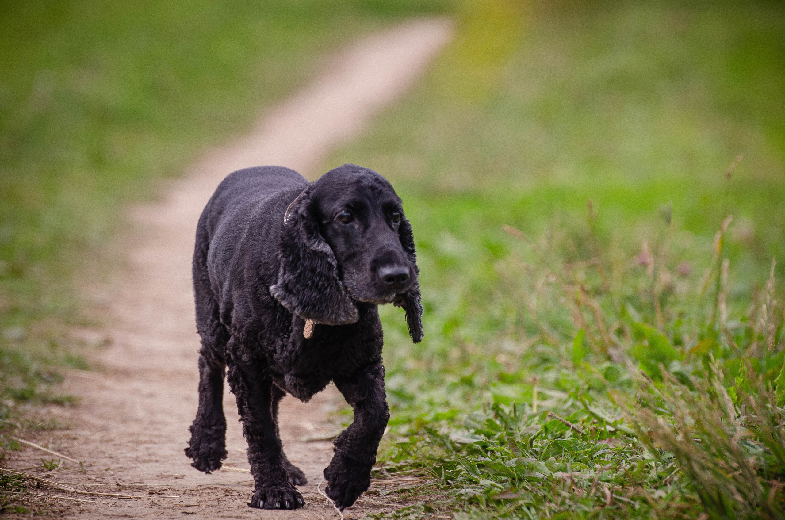 Прогулка (Лохин остров). Фотограф Светлана Блинова, Москва и Московская область