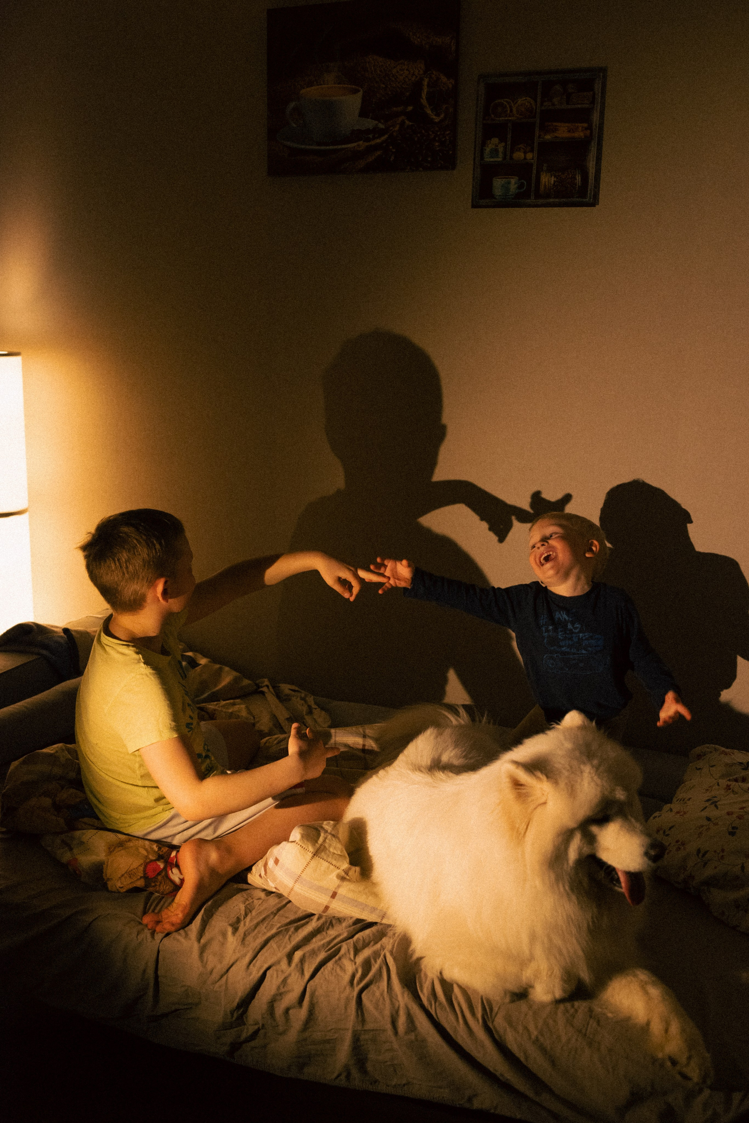 Мальчишки. Фотограф анималист в Москве Майорова Евгения