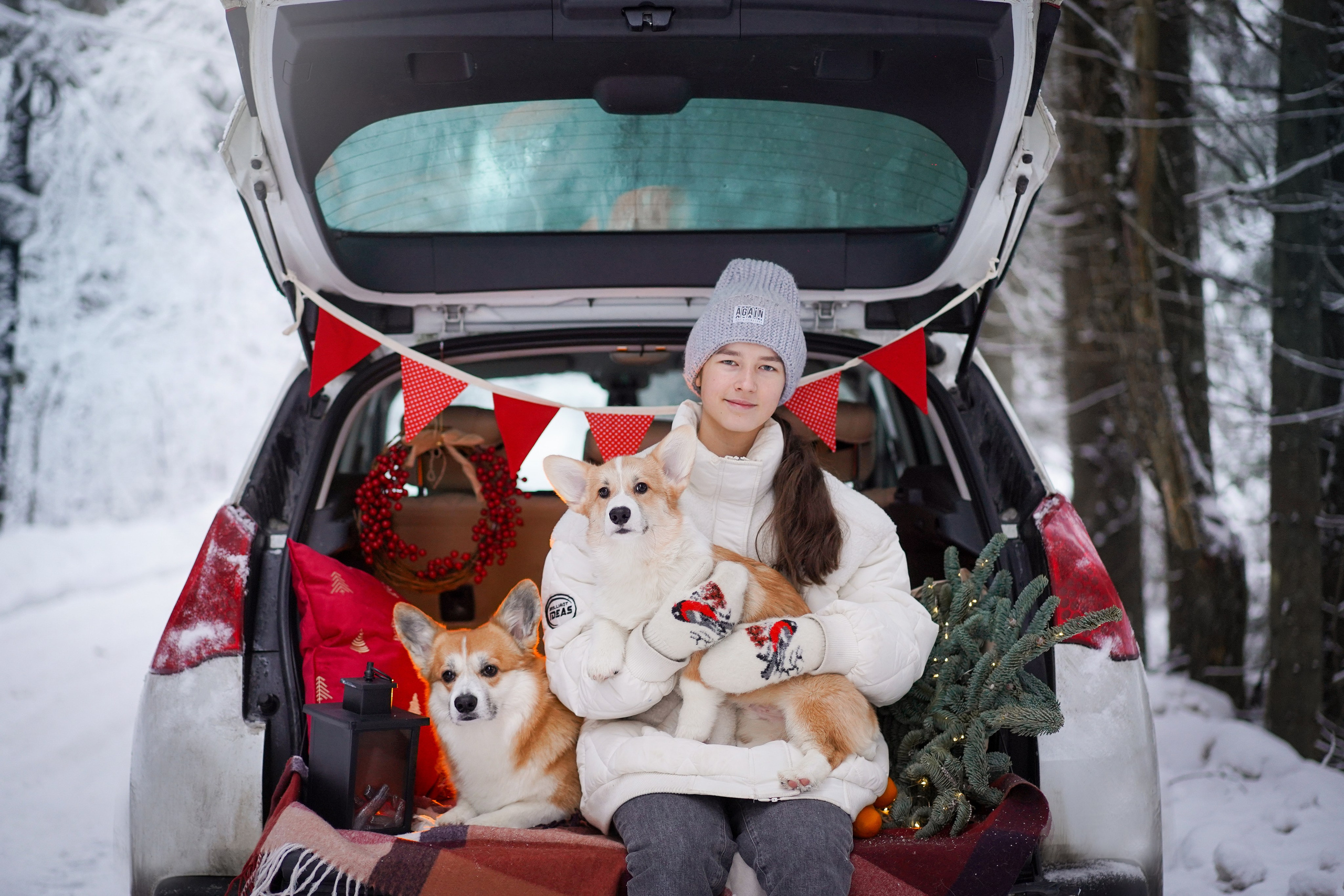 Катя Рокки и Честер. Фотограф-анималист в Санкт-Петербурге Яна Мартынова