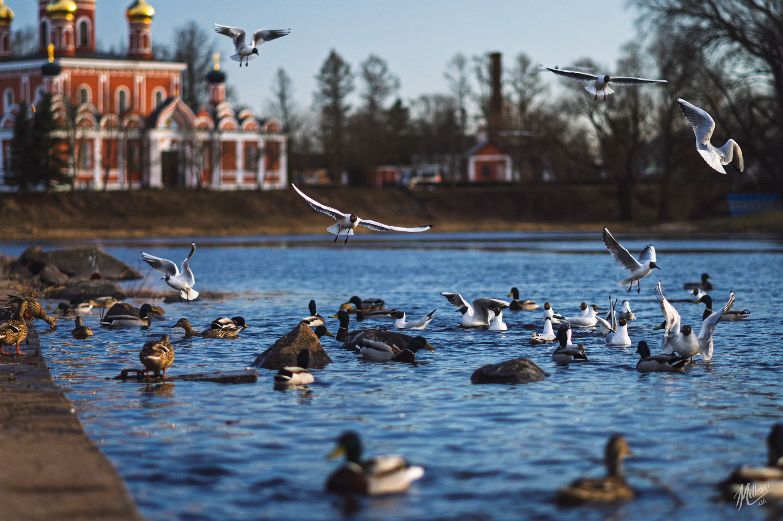 Стрит фото. Mikoff — Воспоминания и эмоции неподвластные времени