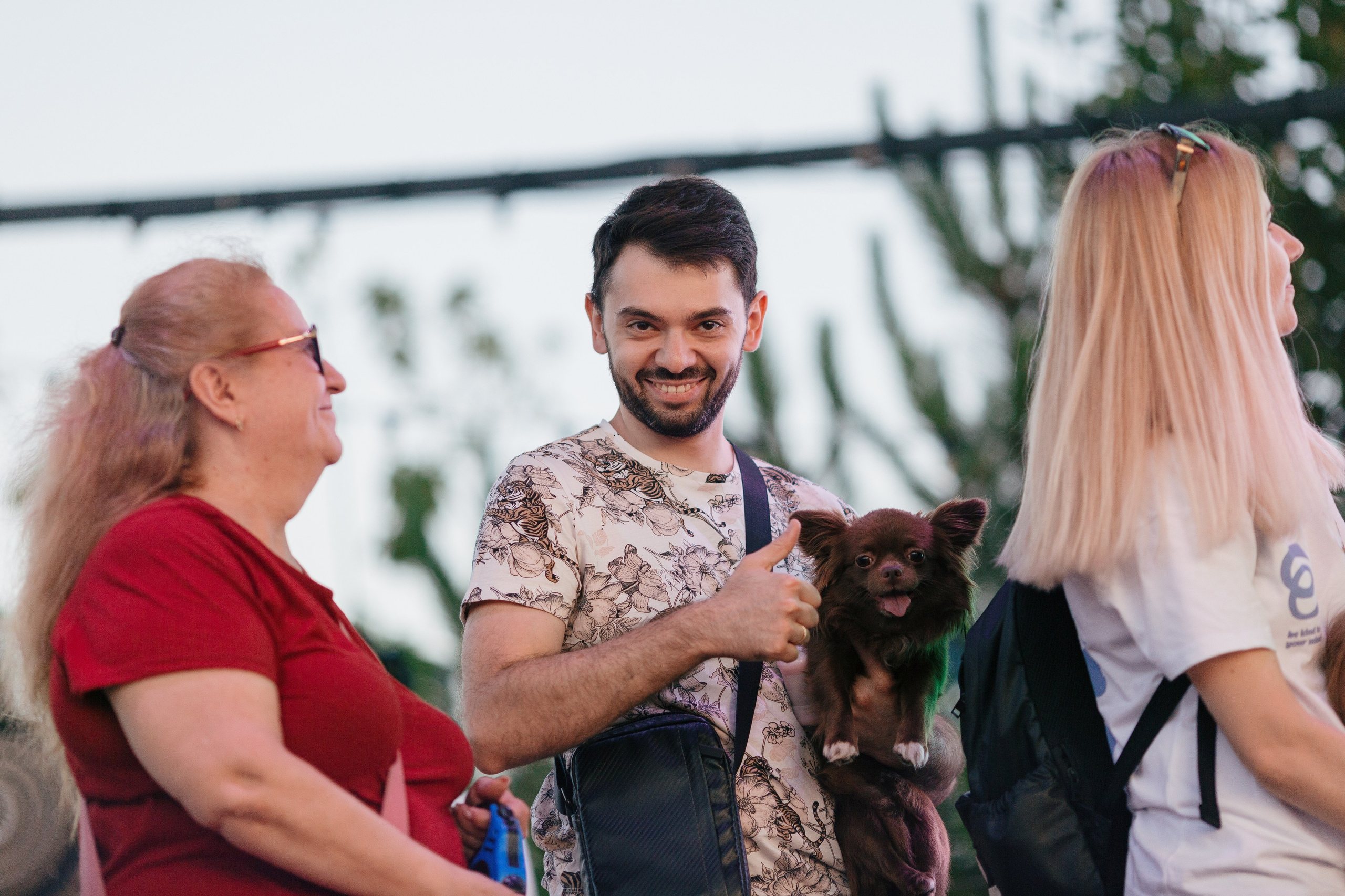 Dog Fest 2024. Главная