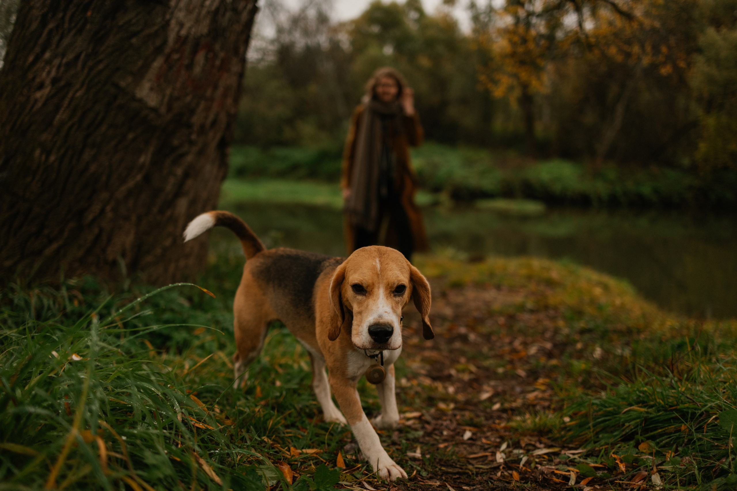 Лена и Тайгер. Фотограф — Анималист | Санкт-Петербург