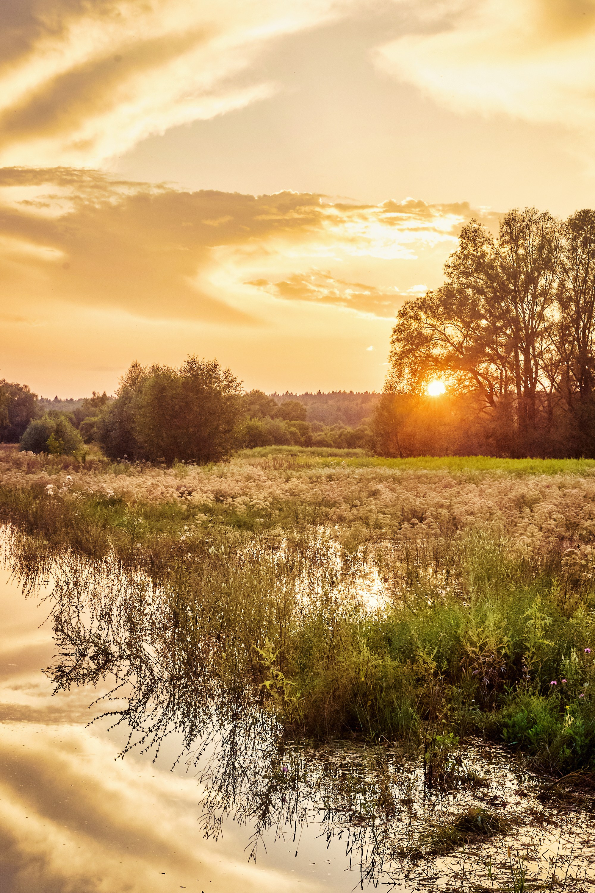 Nature. Фотограф Арсений Королев