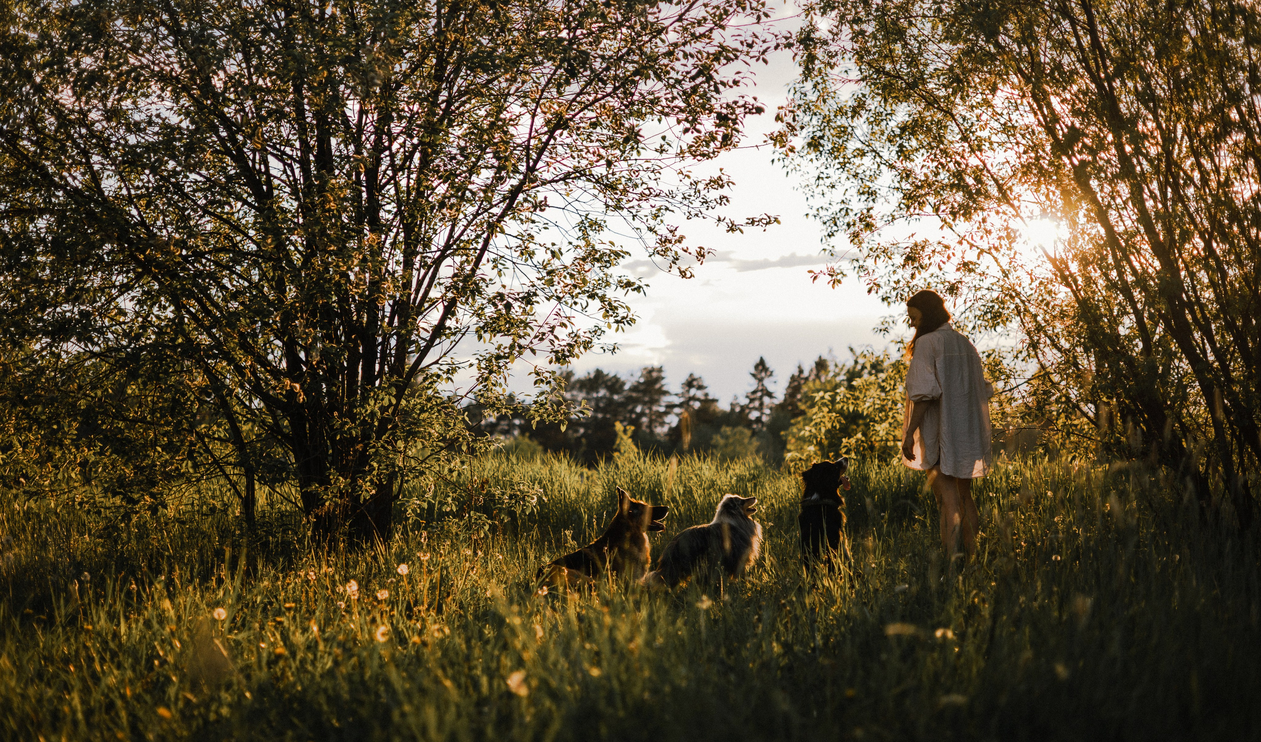 Настя, Шуня, Милка и Тигуан. Фотограф-анималист Богданова Полина