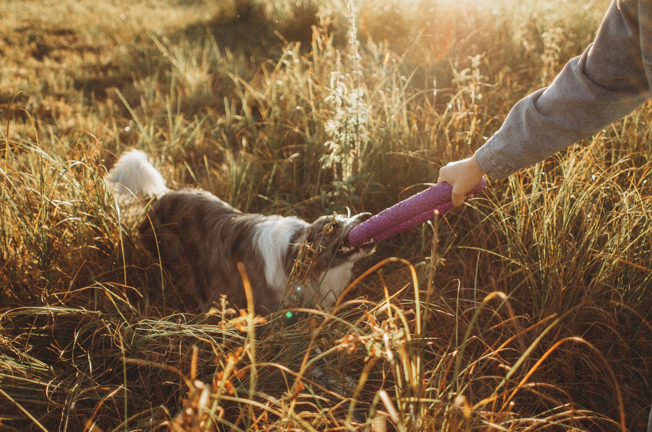 Таня и Бриллиант. Фотограф-анималист Богданова Полина