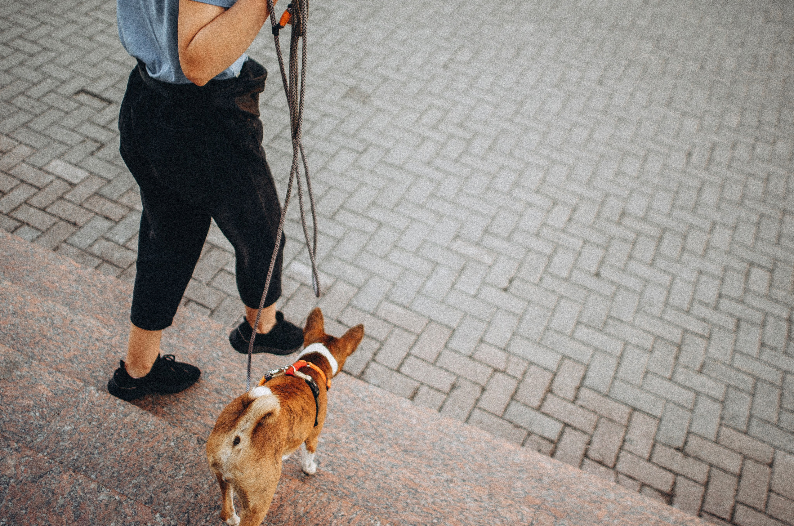 Снежана и Мэнни. Фотограф-анималист Богданова Полина