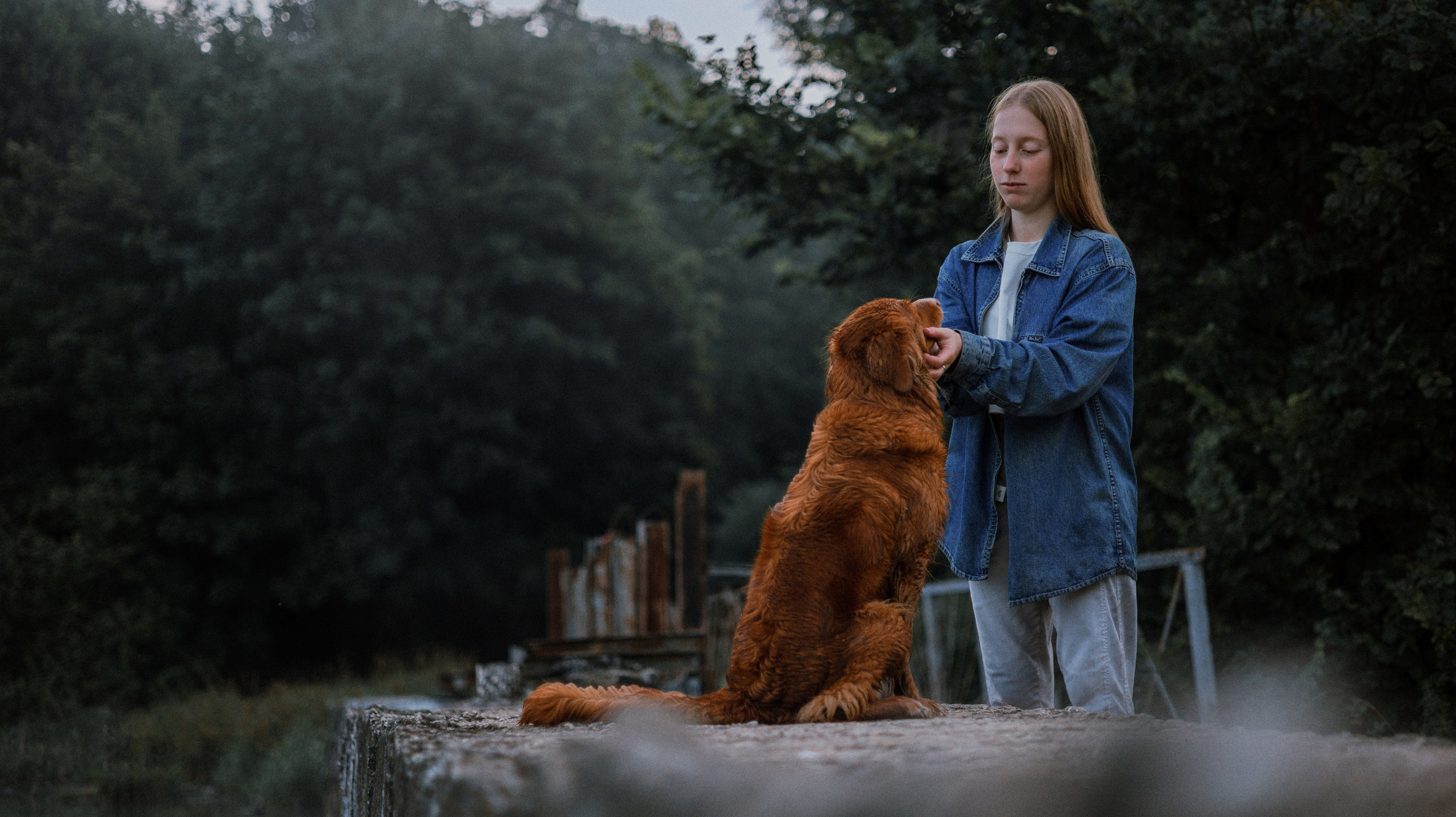 Ксюша и Мэди. Фотограф-анималист Богданова Полина