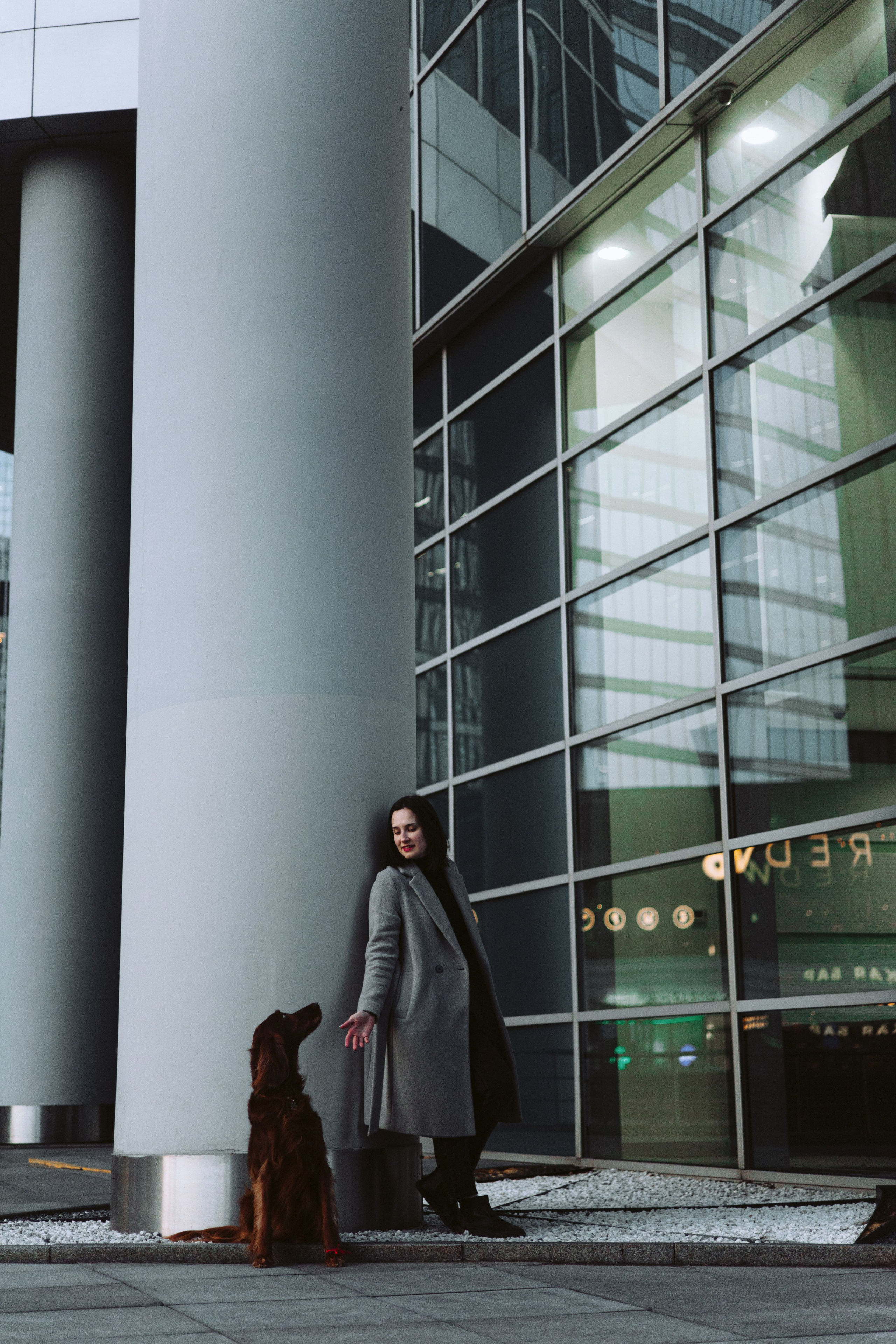 Маша и Лика. Фотограф-анималист Богданова Полина