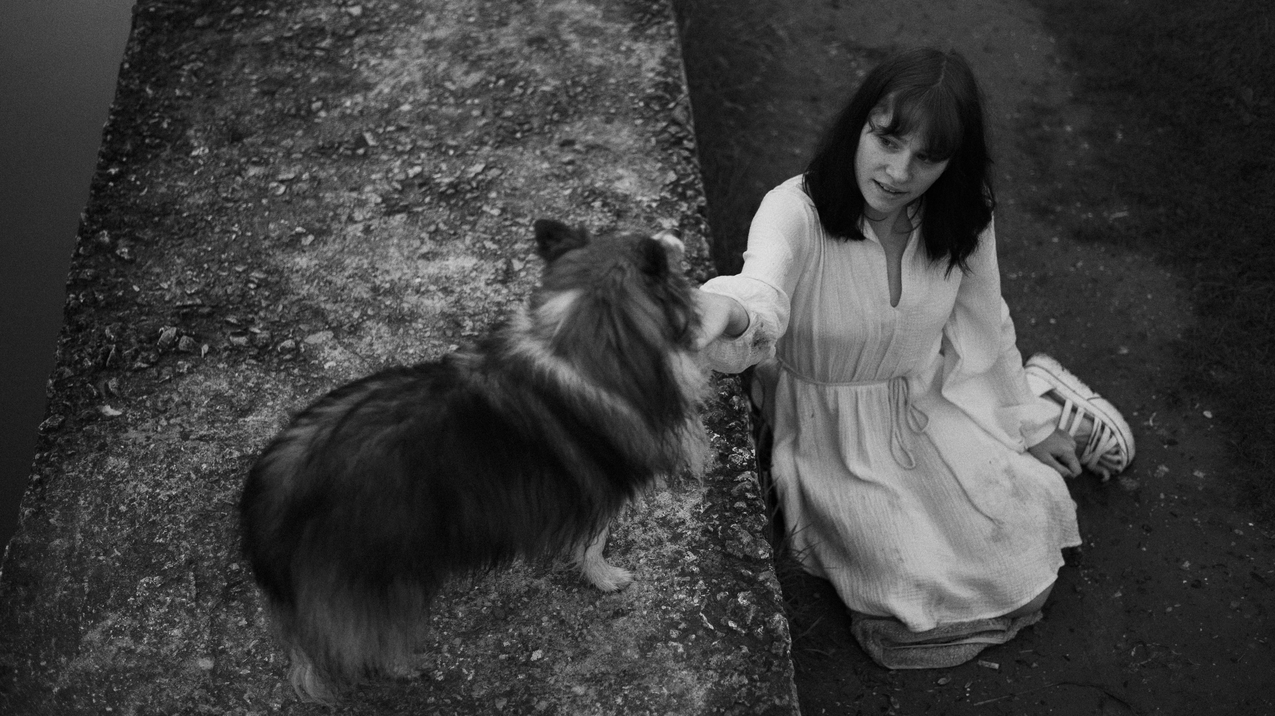 Аня и Скай. Фотограф-анималист Богданова Полина