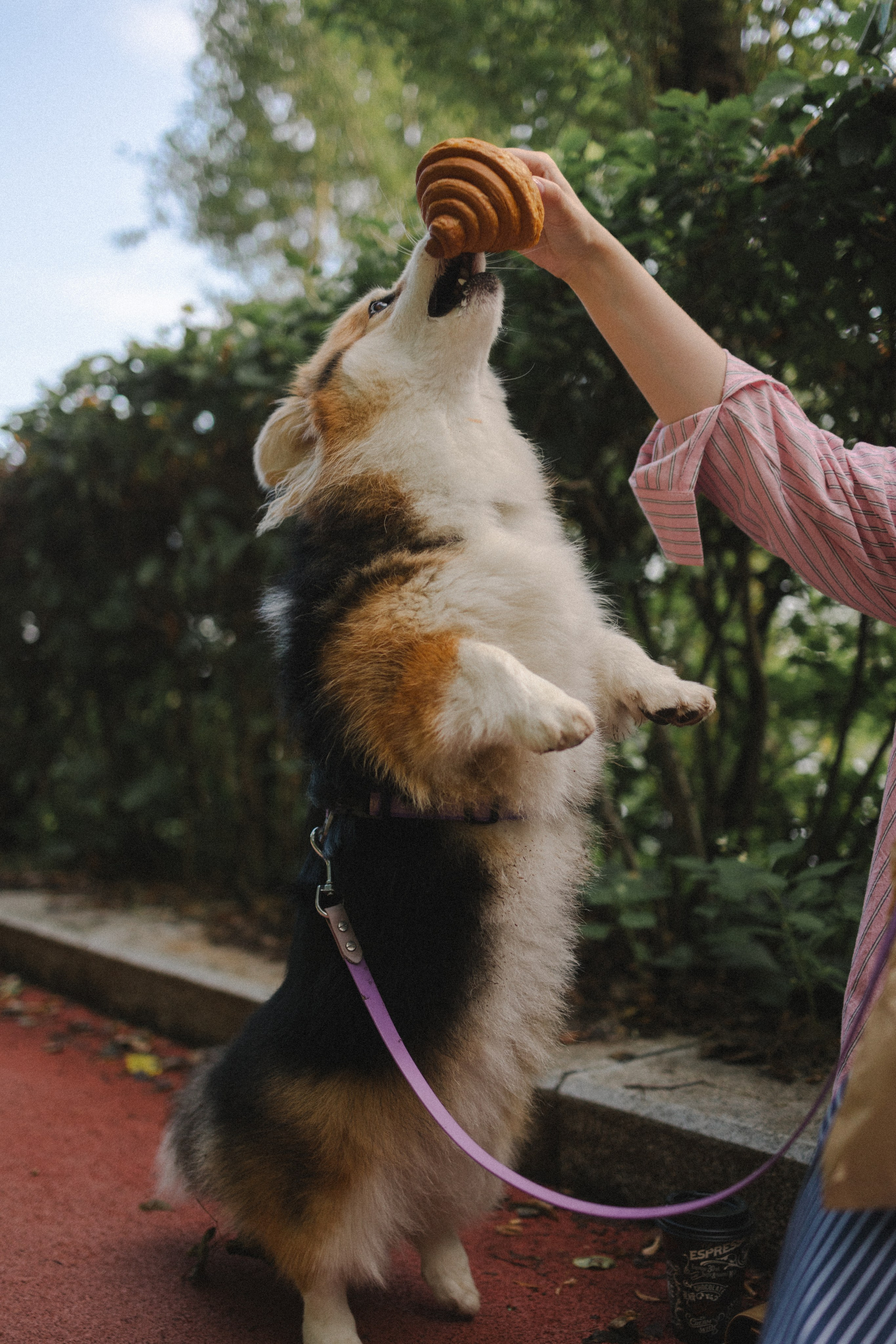 Мишель и Влада. Фотораф — анималист Мария Шистка